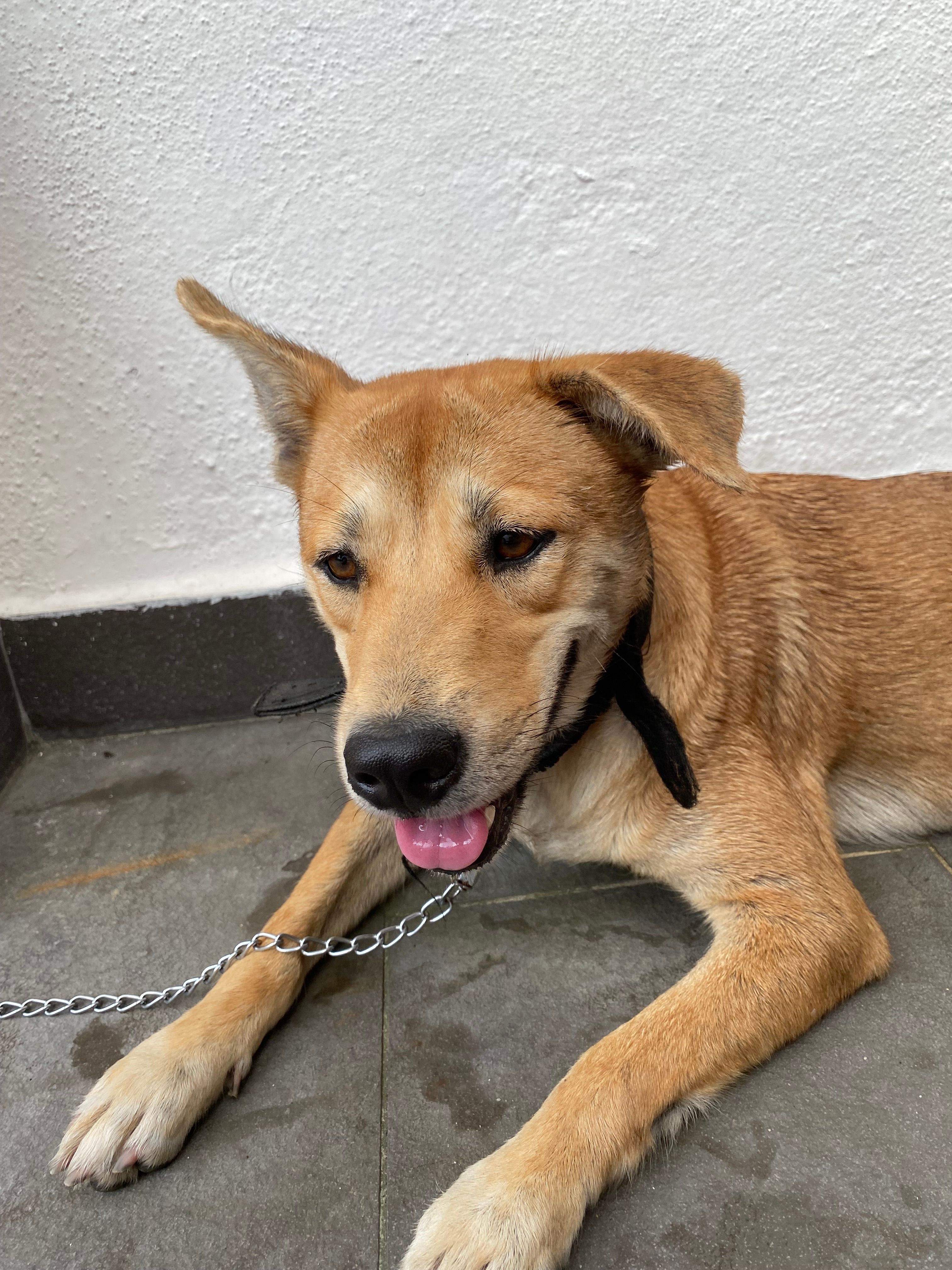 - - Jalan USJ 17/1, USJ