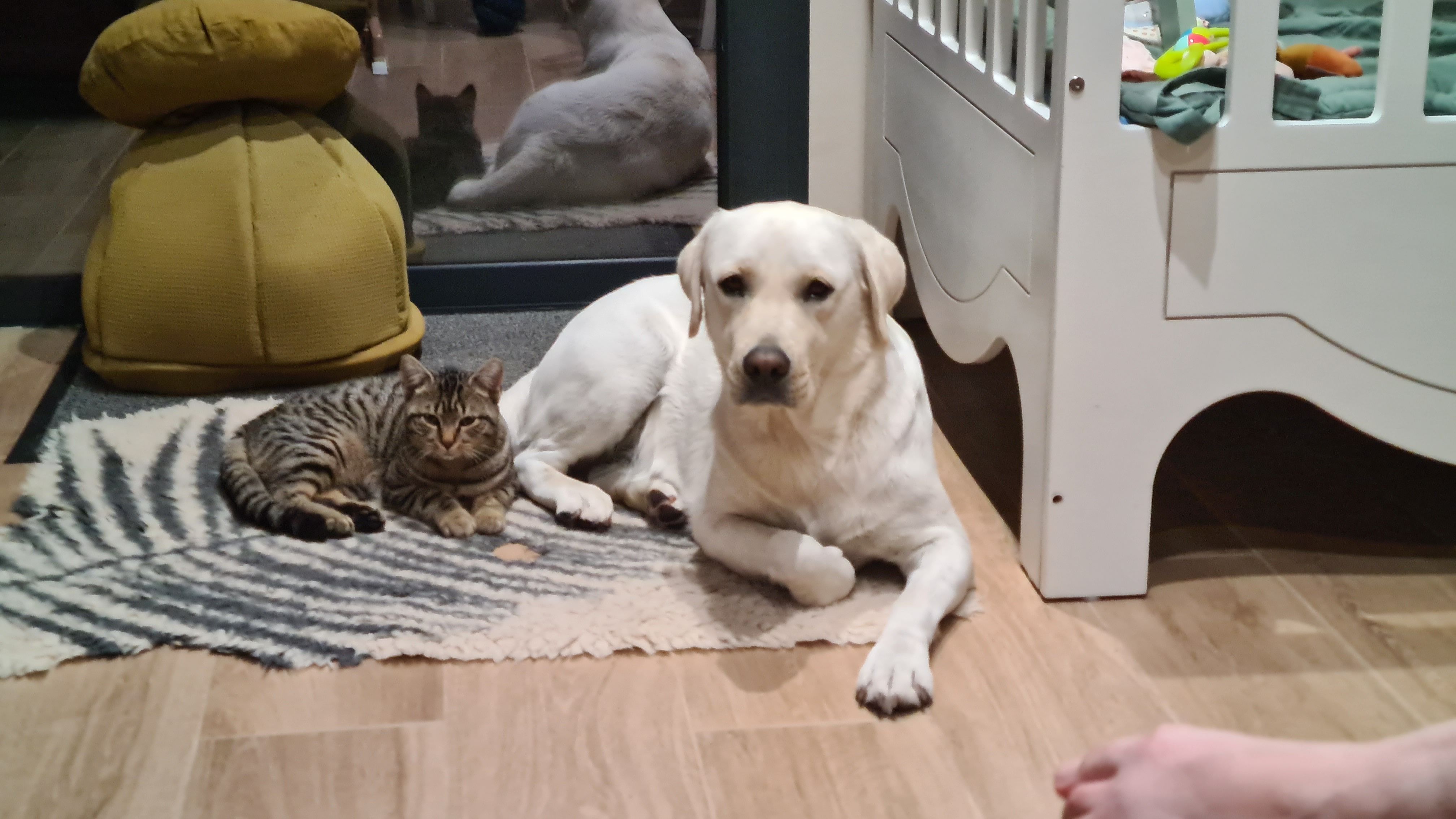 Saline - La Thiaudière, Douadic