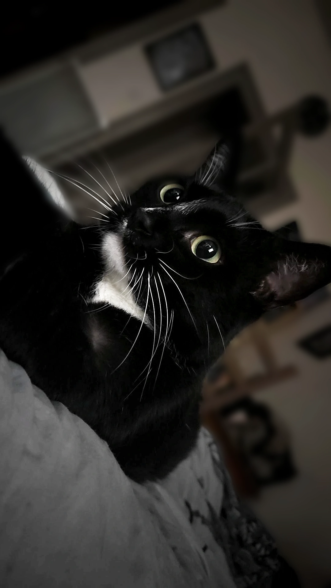 Chaussette  - Rue du Docteur Mougeot, Saint-Dizier