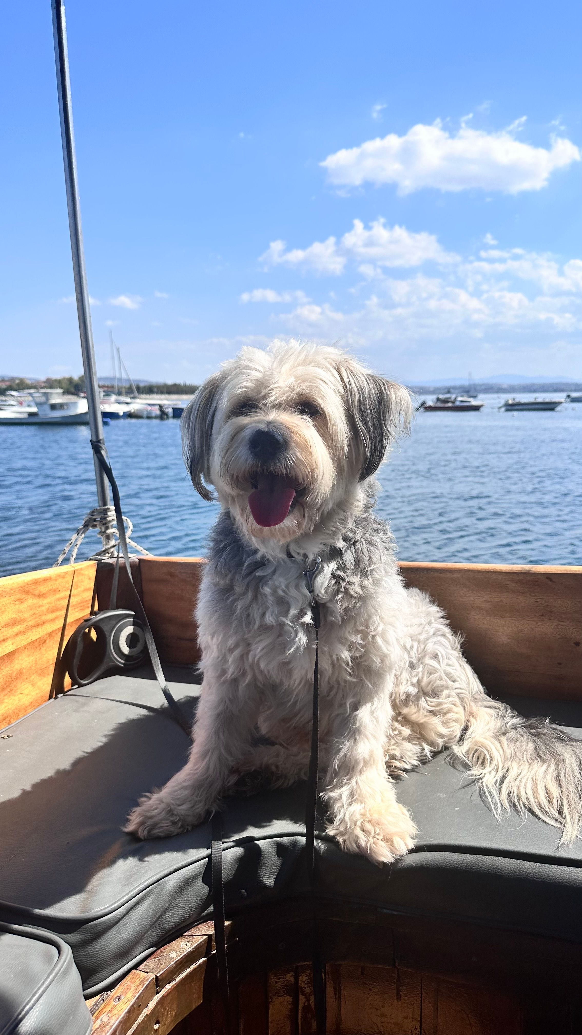 Mösyö - Dilsiz Sokağı, Istanbul