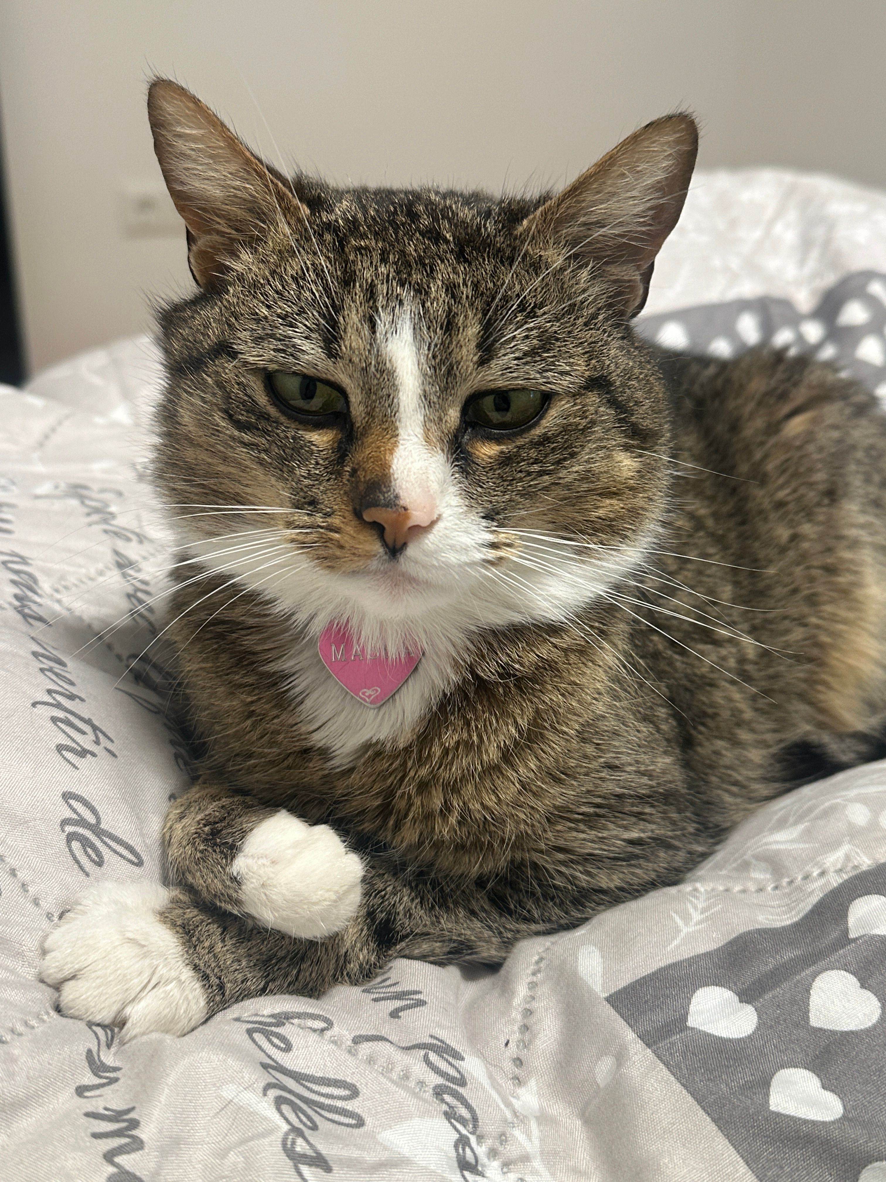 Masha - Bischof-Manfred-Müller-Straße, Sinzing