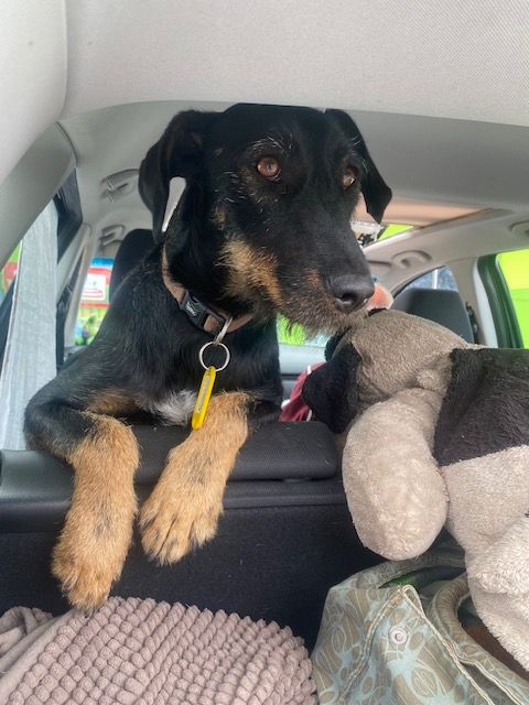 Priya - Luttenried, Lengenwang