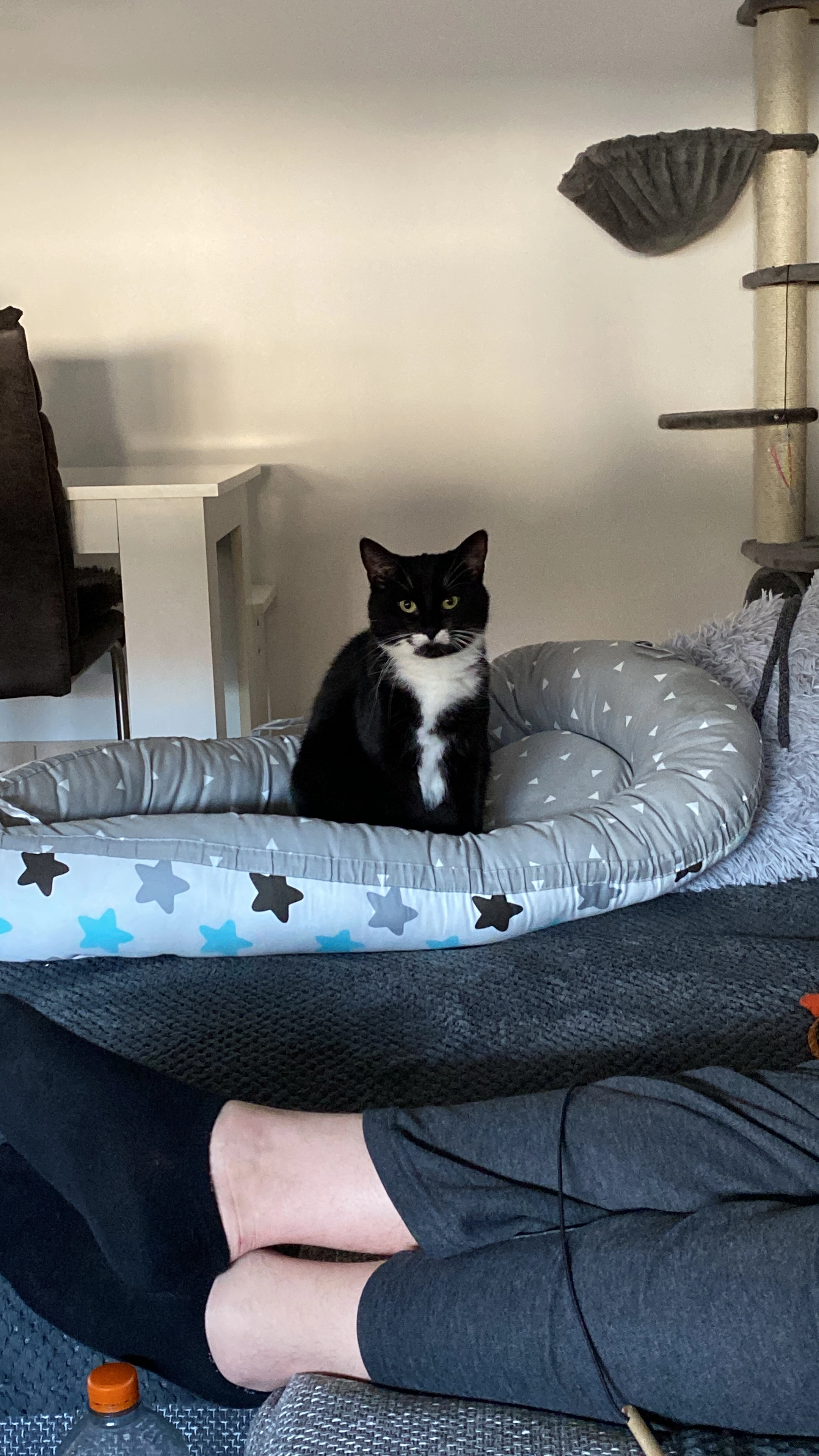 Nala - Am Hartebeuer, Wassenberg