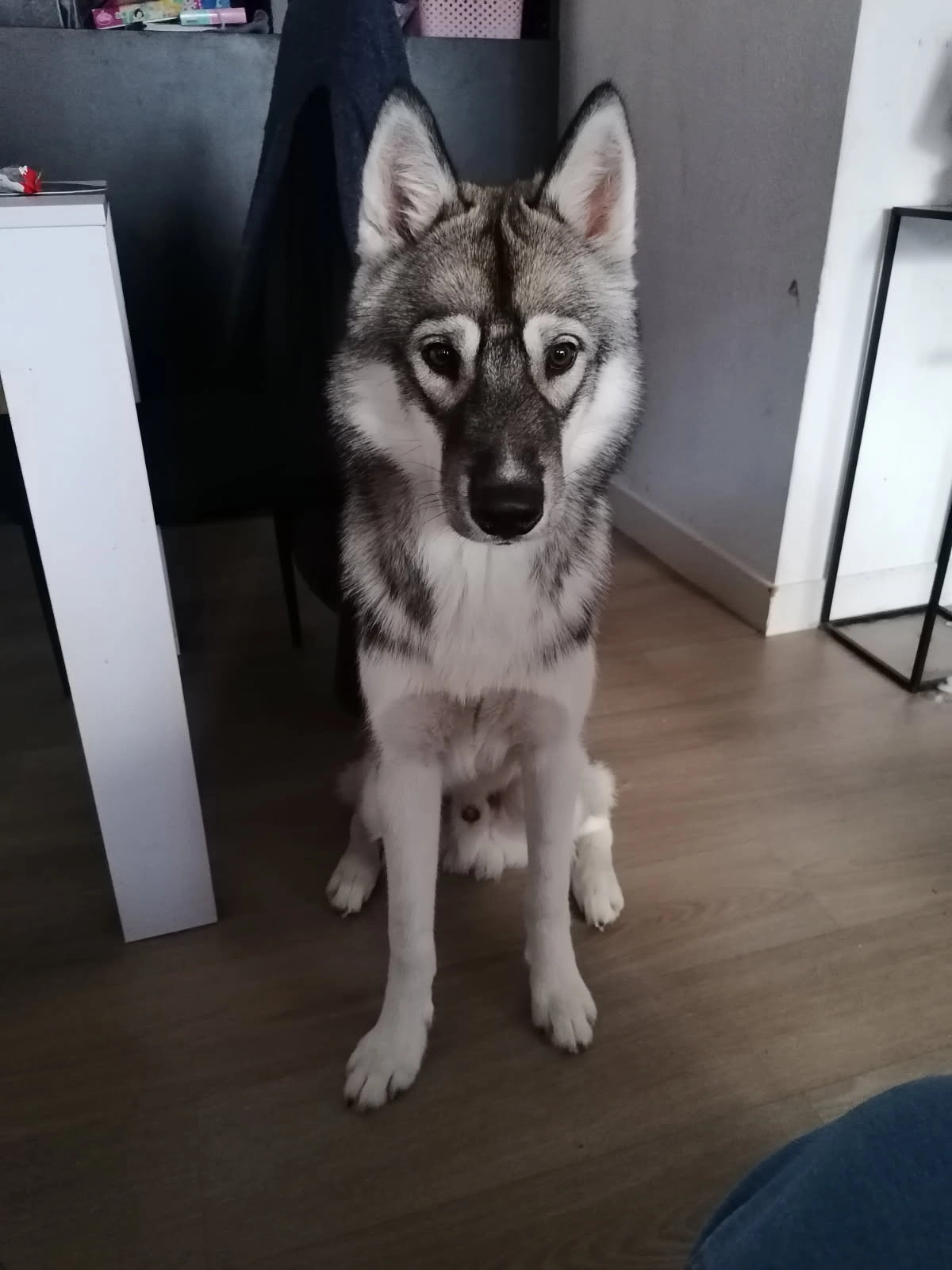 Ranga - Rue Des Acacias, Paron