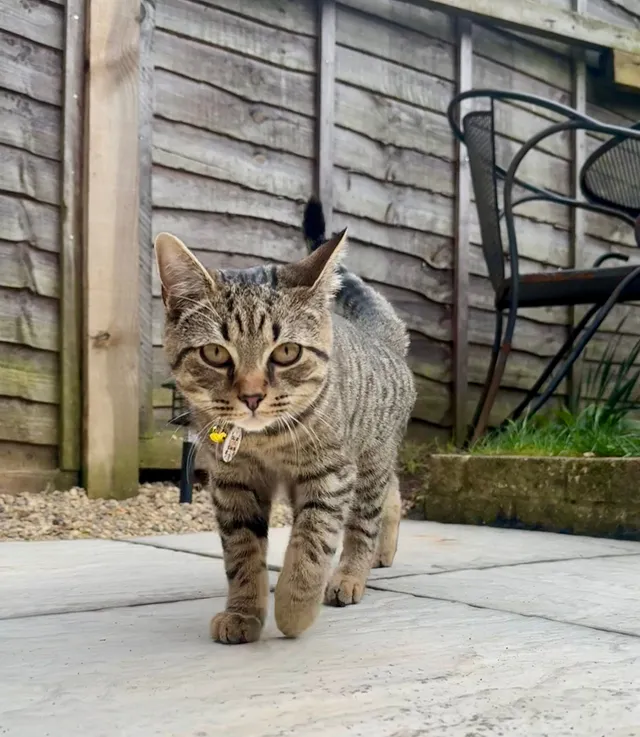 Andy - Bugsby Way, Ipswich