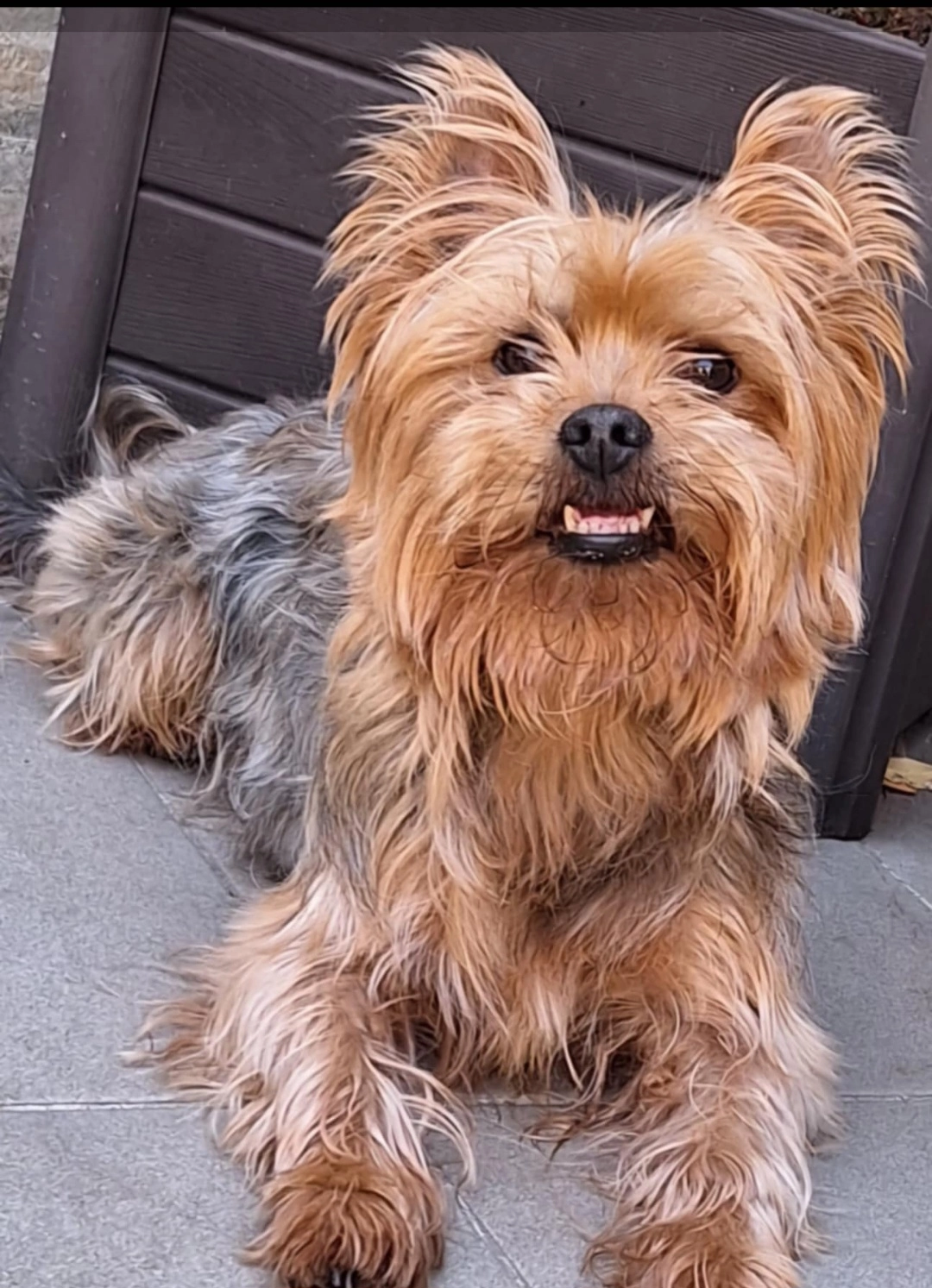 Ciske  - Kielpark 202, Antwerpen