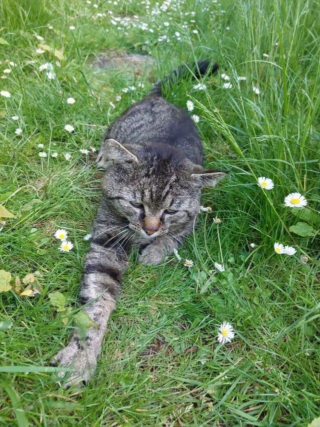 Kai - Lethbridge Road, Swindon