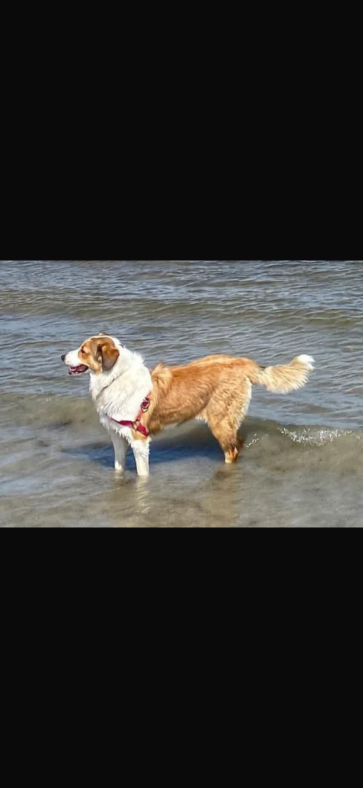 Lana - Aldea Taboadela, Paderne de Allariz