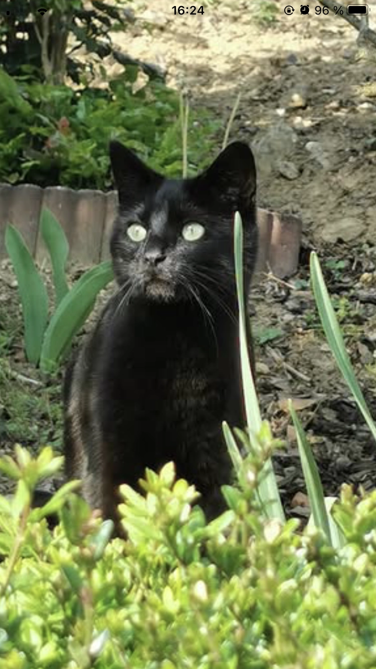 Charls - Auf Der Höh, Lörrach