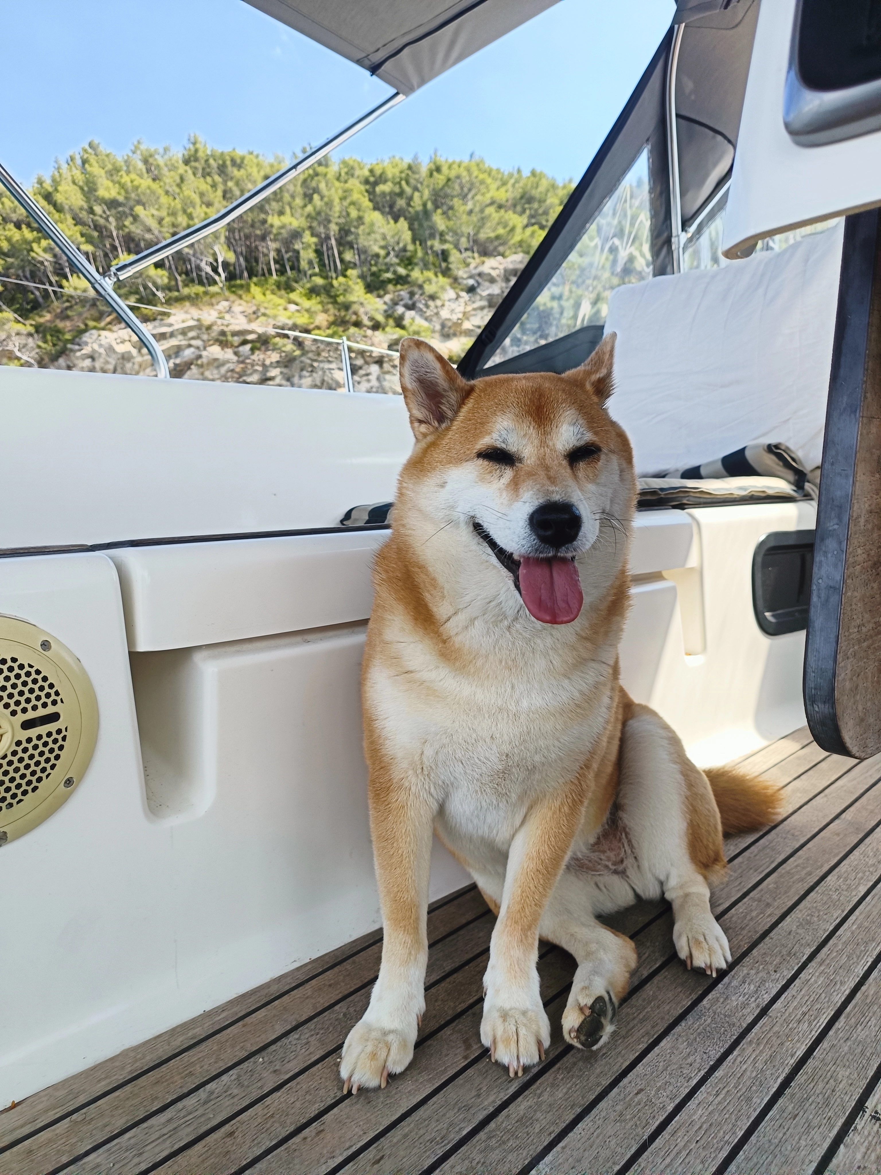 Elly - Avenue Franklin Roosevelt, La Ciotat