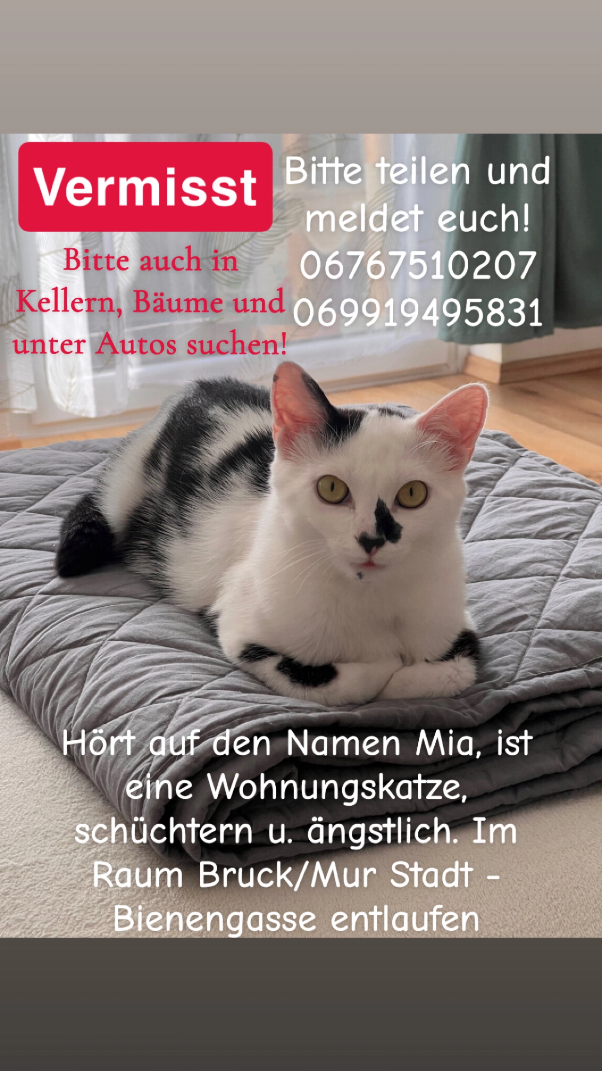 Mia - Bienengasse, Bruck an der Mur