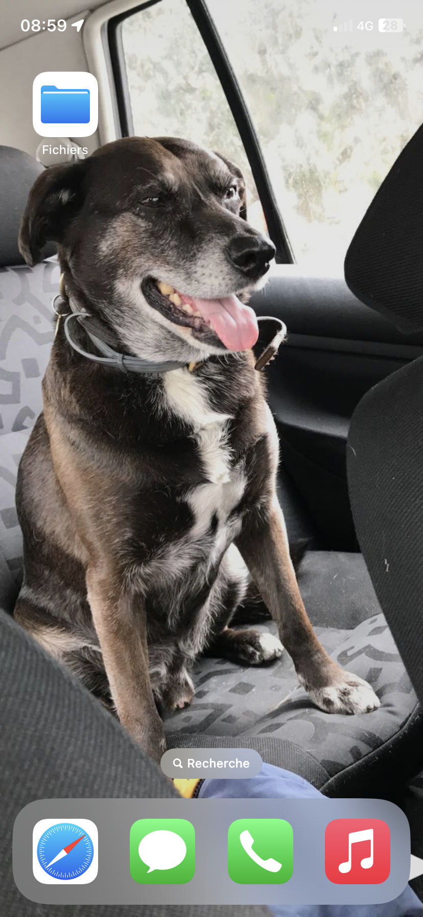 Diego  - Impasse Chez Joson, Chevenoz