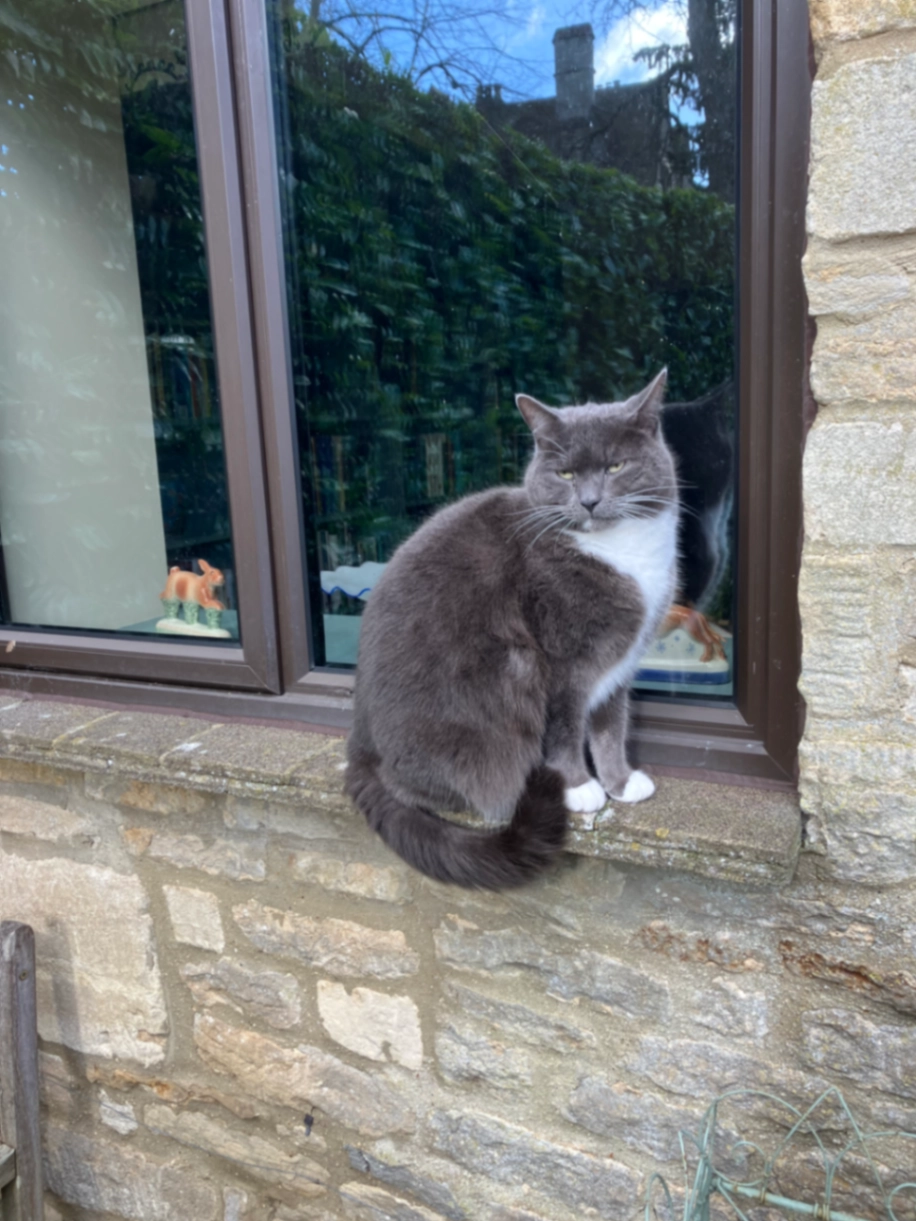 Nimrod - Turville barns , Eastleach