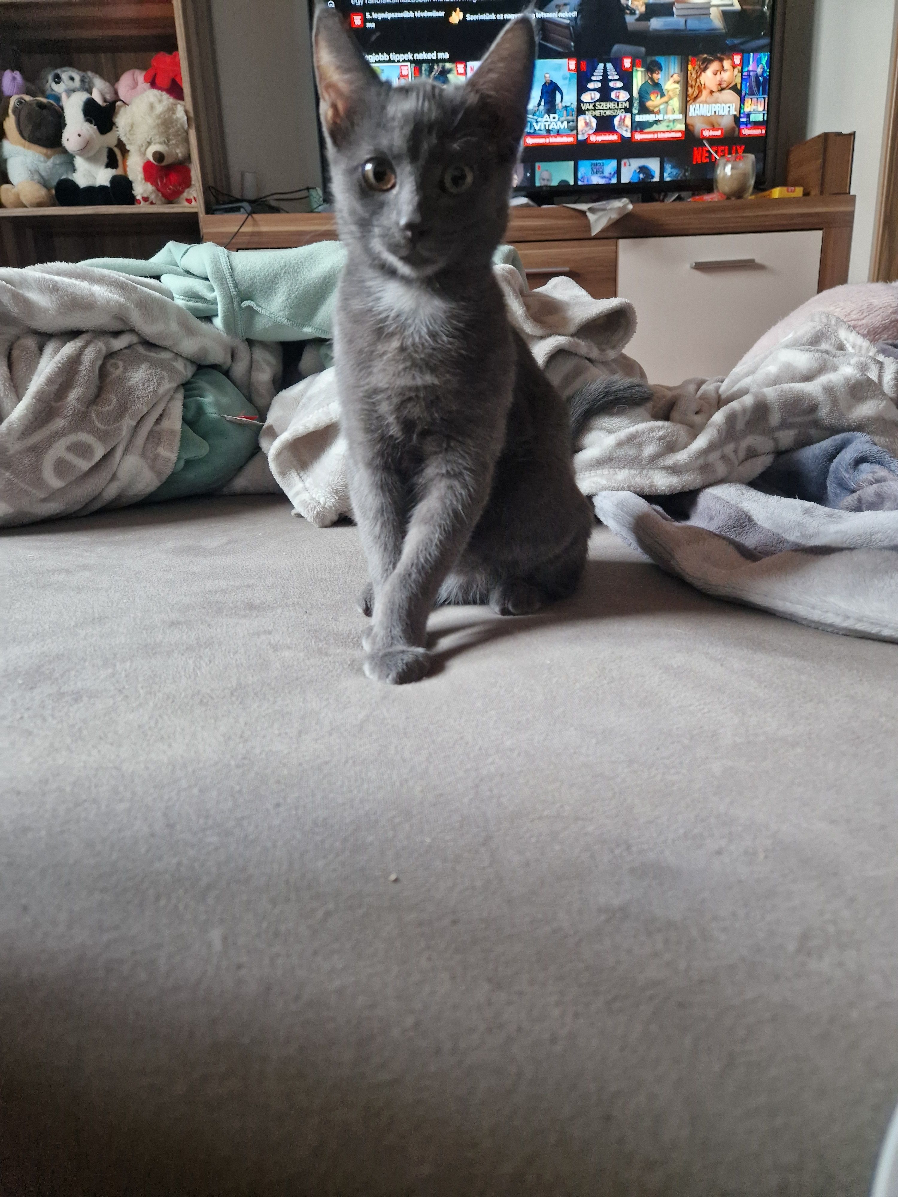 Hamu - Uhlandstraße, Ochsenhausen