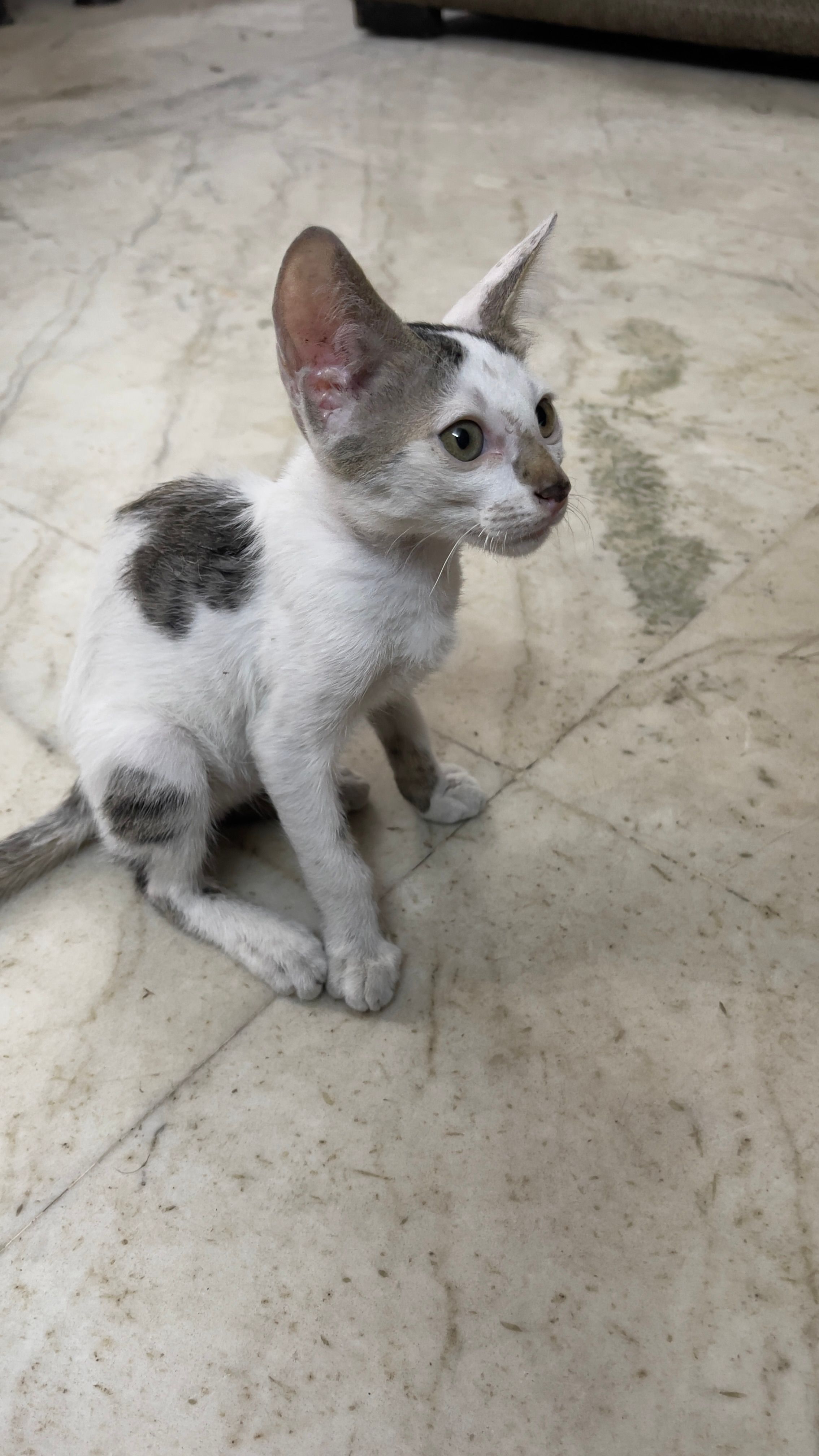 Noor - East Of Kailash Road, South East Delhi