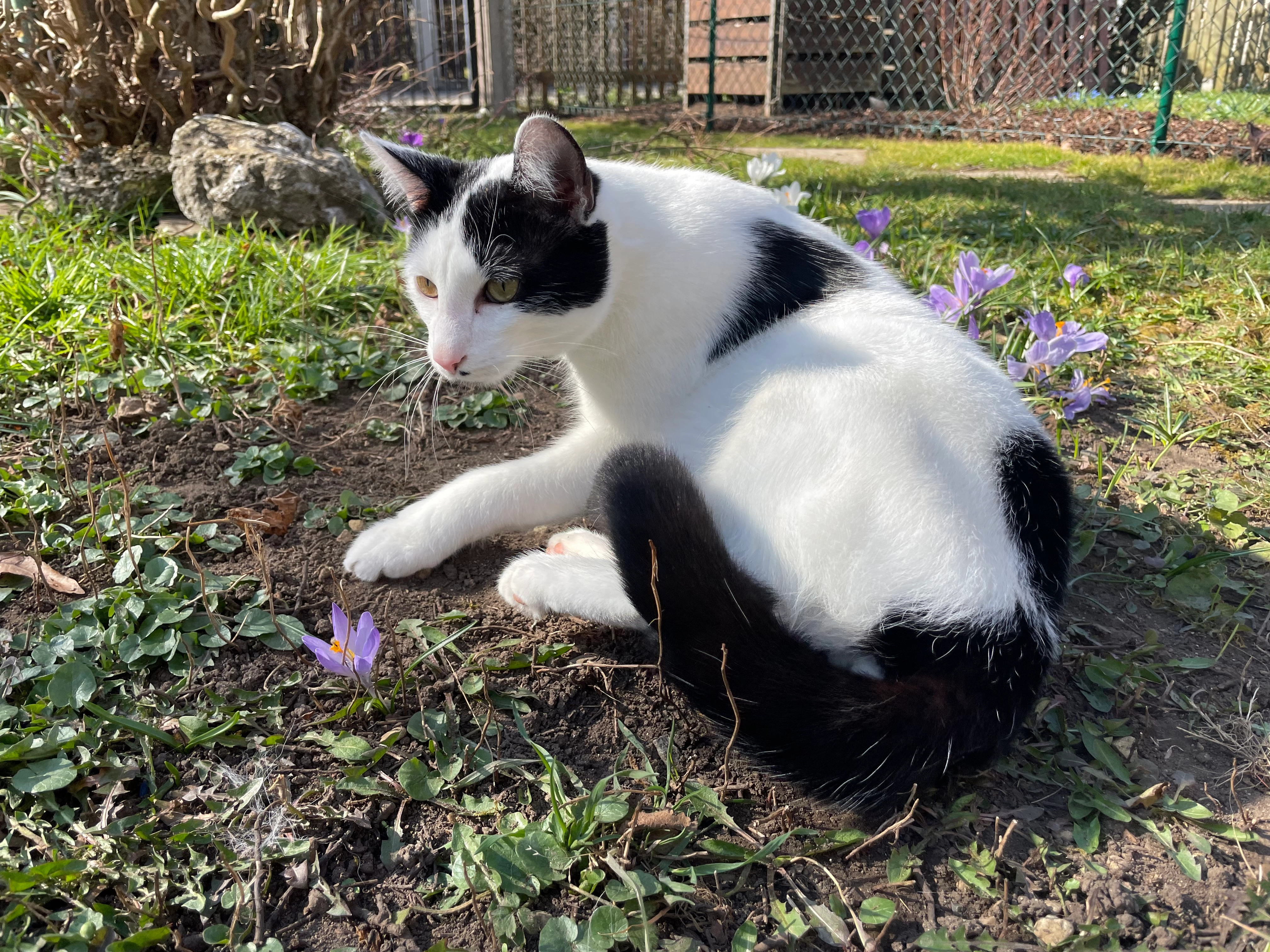 Milo - Lehárstraße, Augsburg