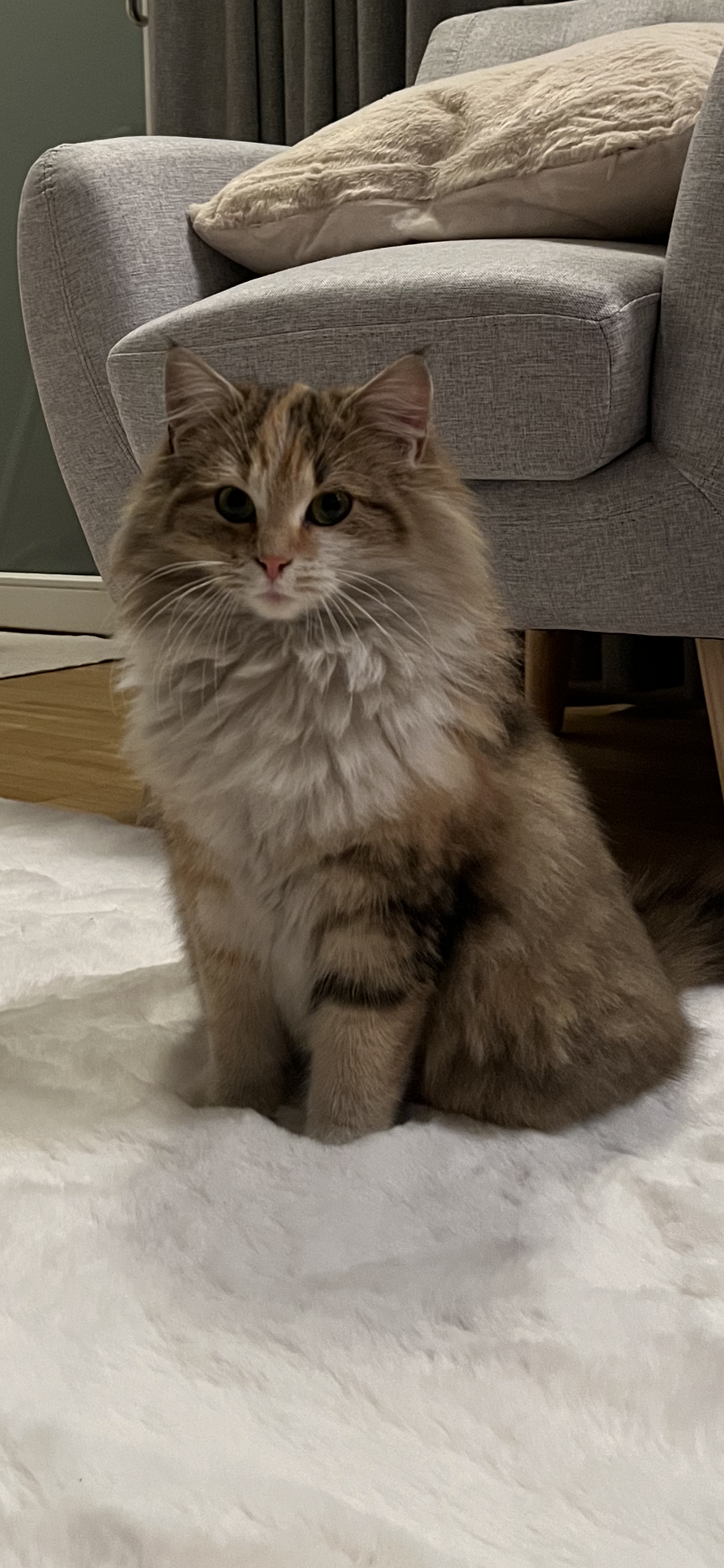 Pucci - Schluchenstrasse 1, Quarten