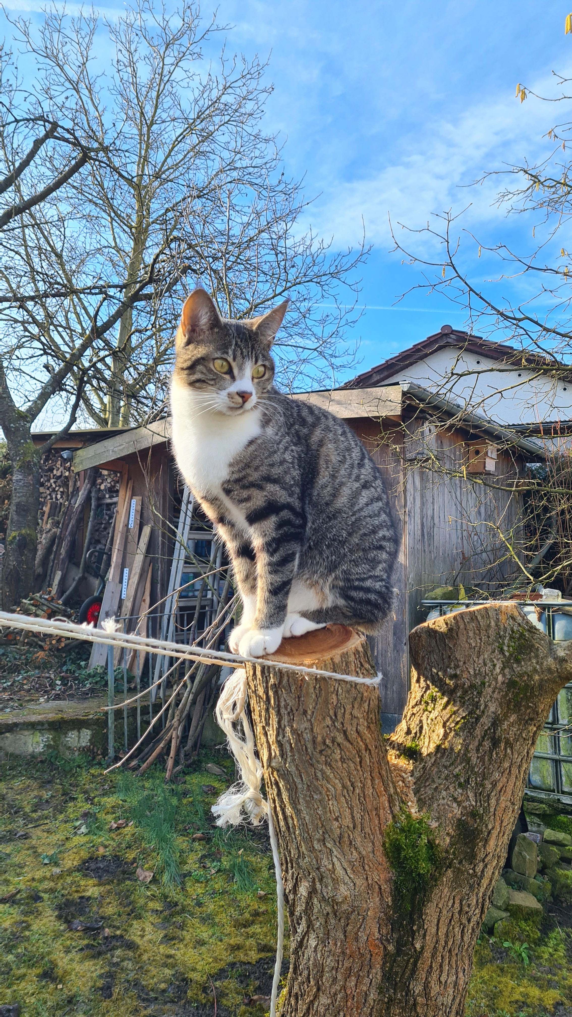 Cinko - Gehrweg, Untergruppenbach