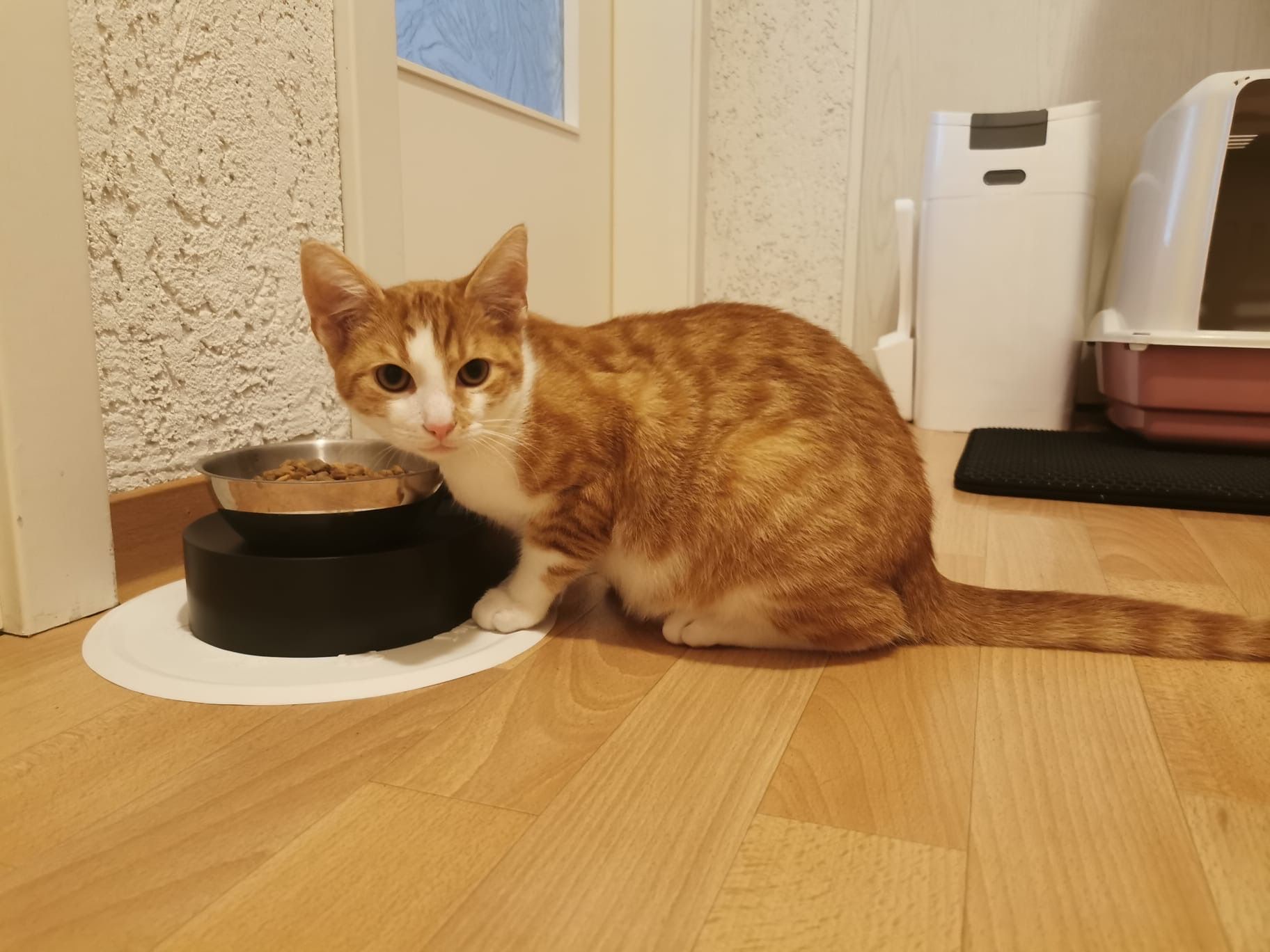 Maxi - Obere Kerflehde, Dingelstädt