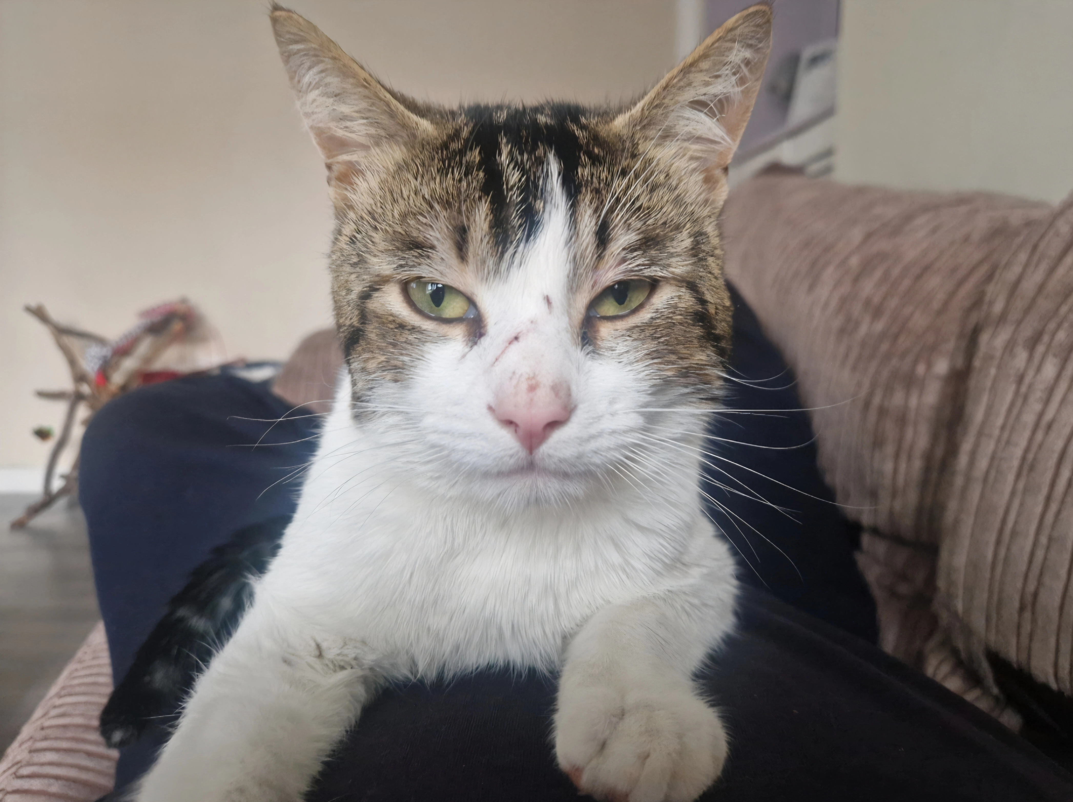 Lucky - Sunderland Road, Gateshead