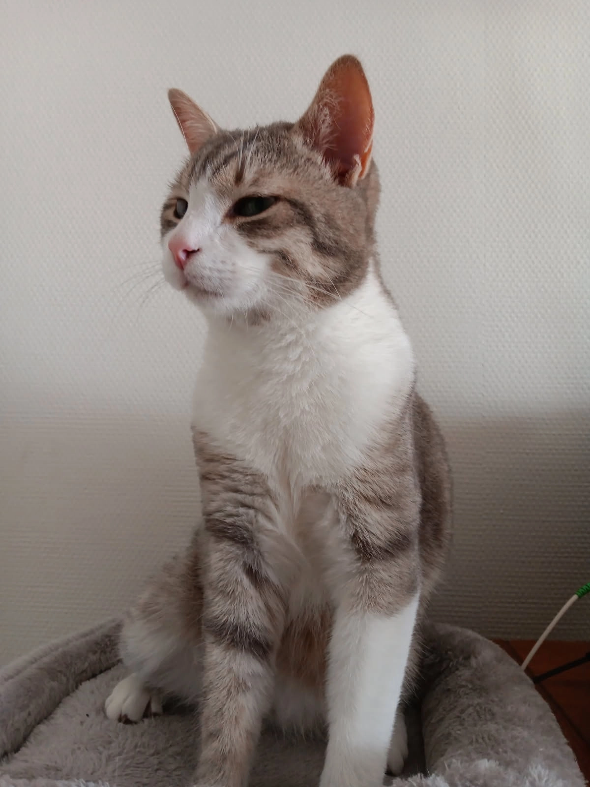 Osi - Rue du Moulin, Chauvency-le-Château