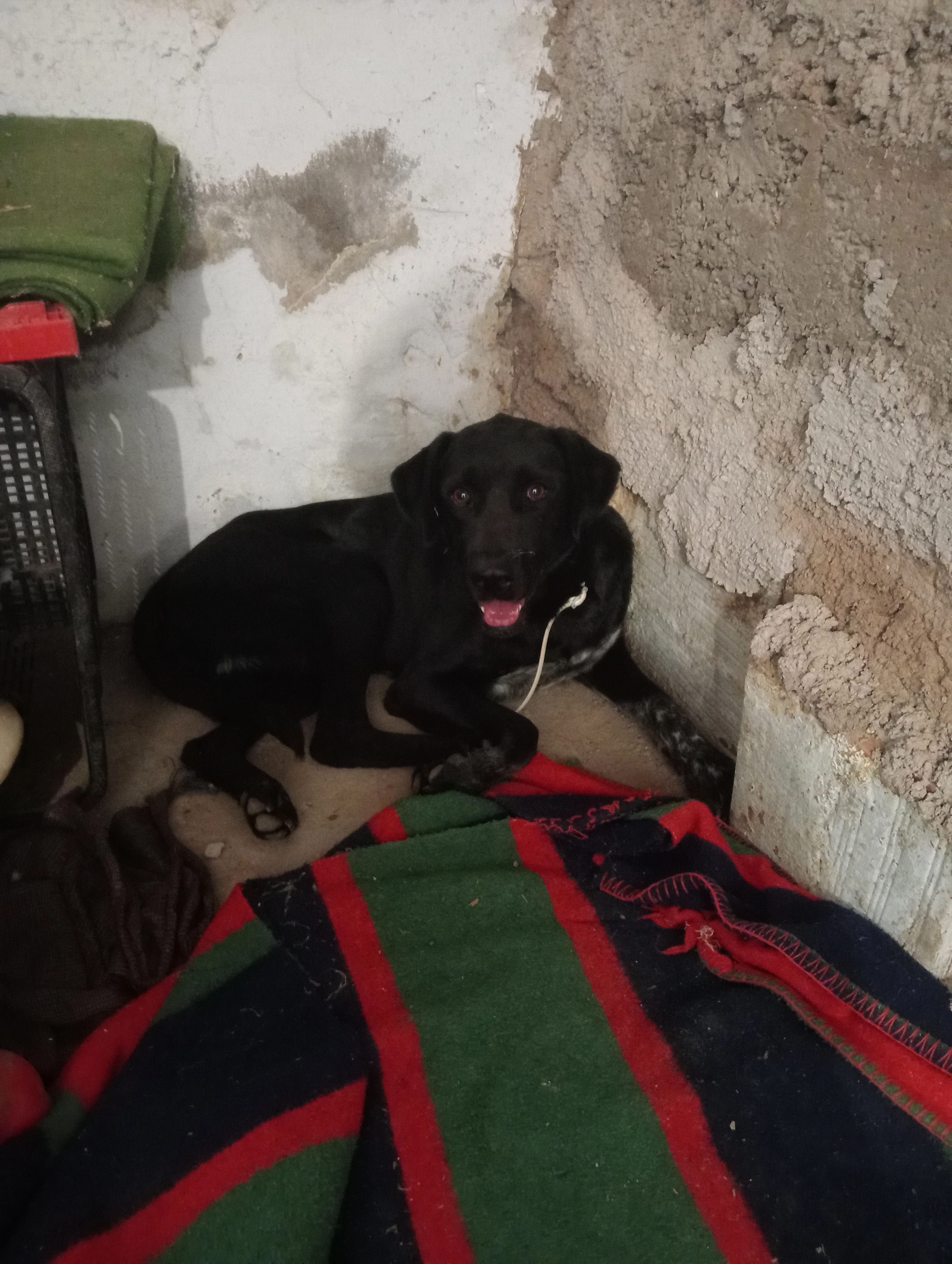 Lunes  - Camino Torre los Ajos, Zaragoza