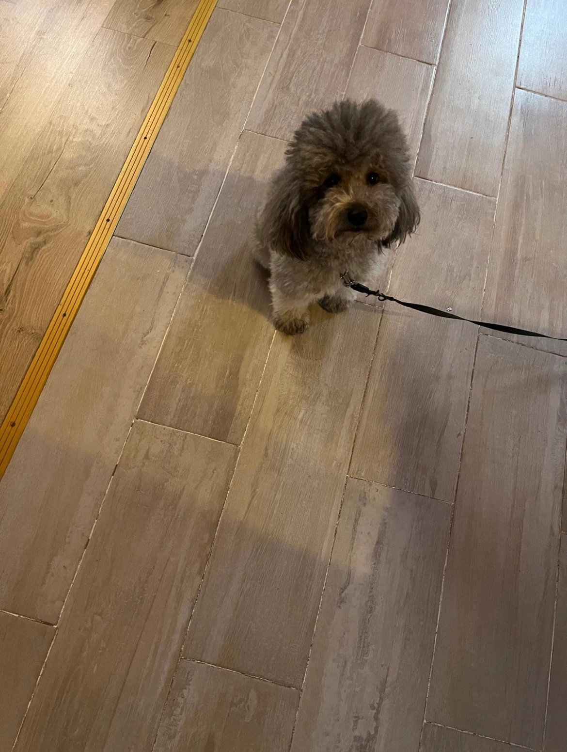 Nabucco - Kapitän-Rüter-Straße, Papenburg