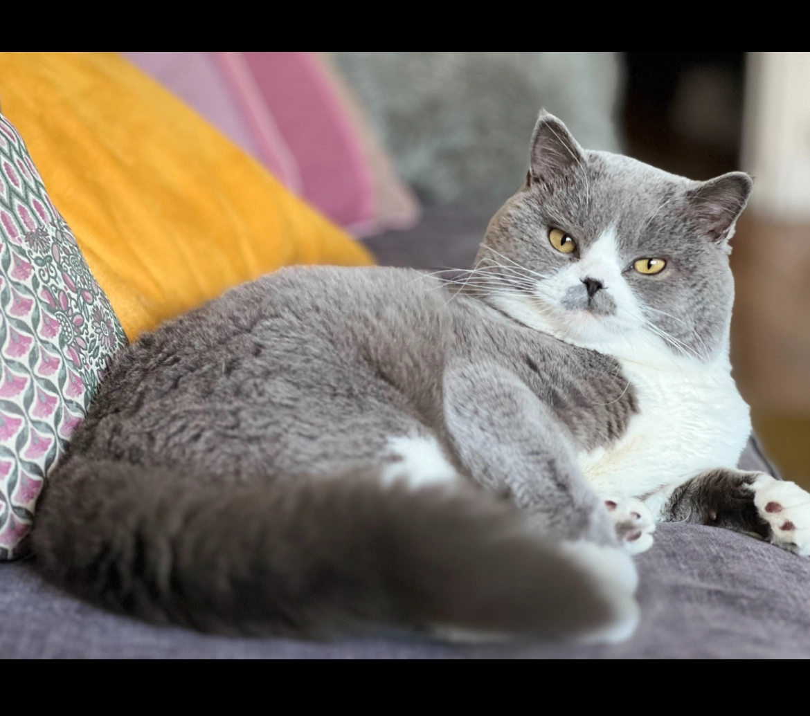 Ustone  - 35 Rue Jules Ancel, Le Havre