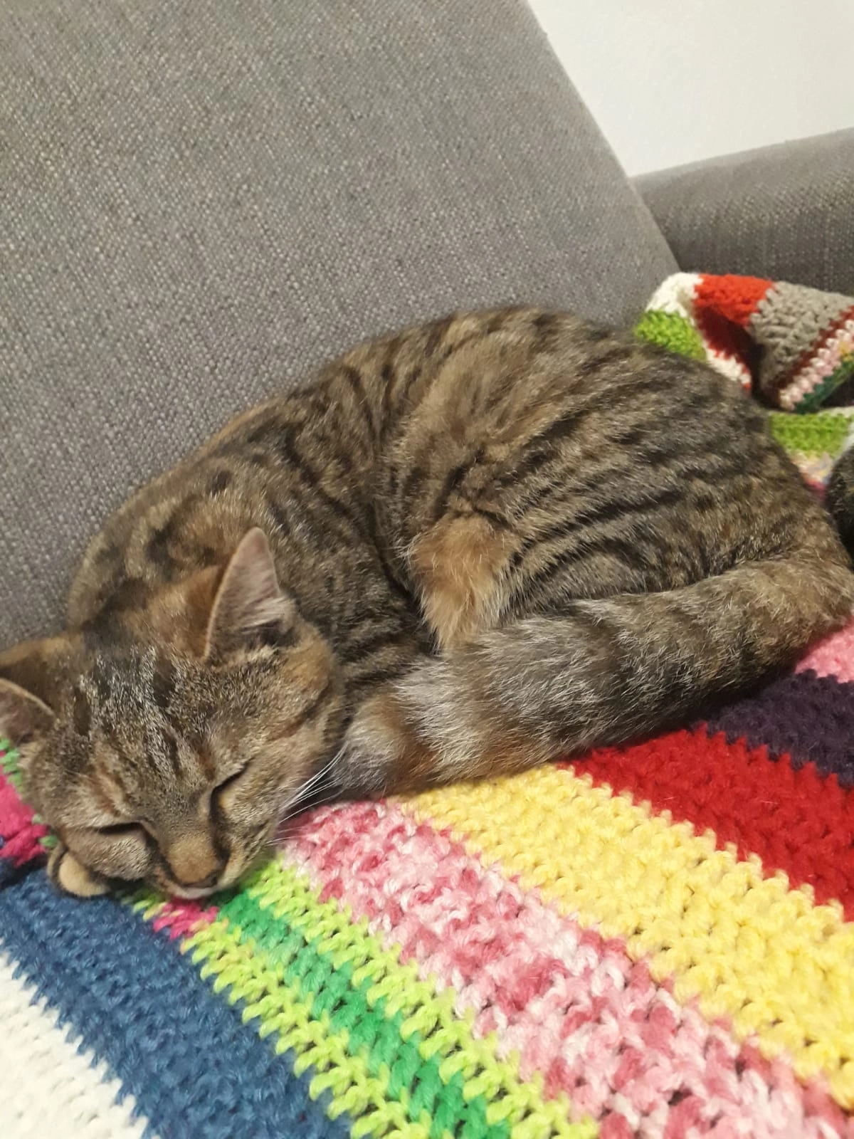 Lea - Birkenweg, Kronstorf