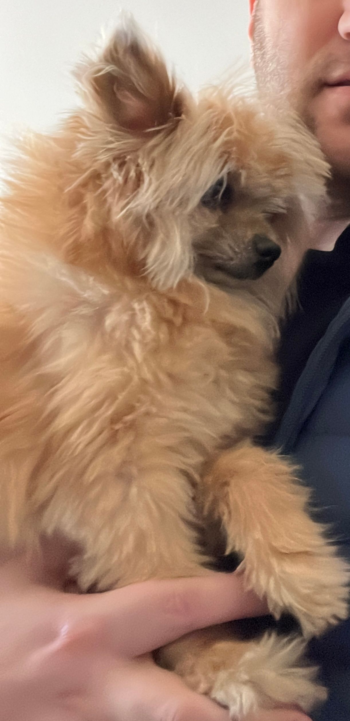 Qurie - Bartók Béla Út, Debrecen