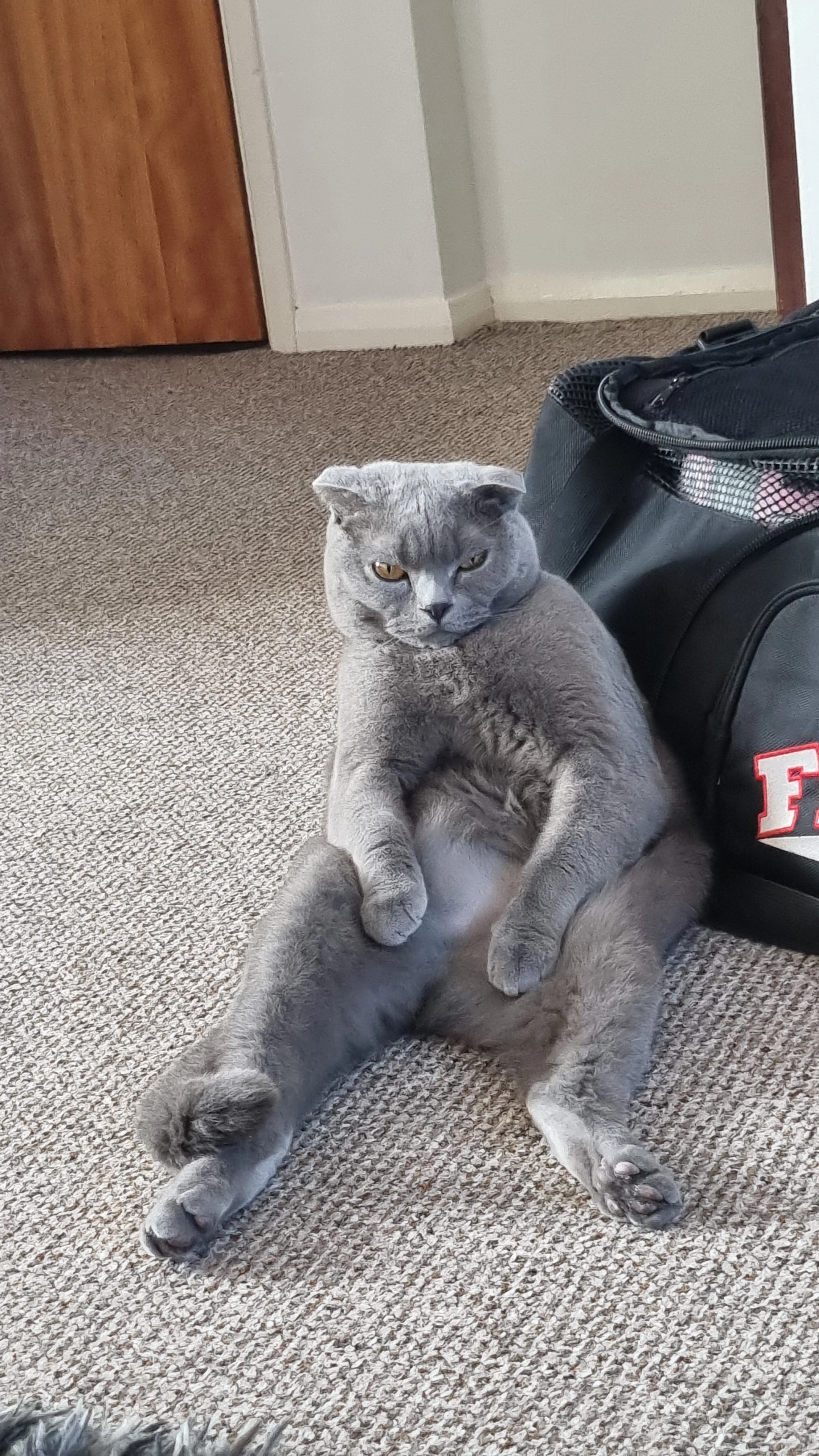 Sam - James Watt Avenue, Corby