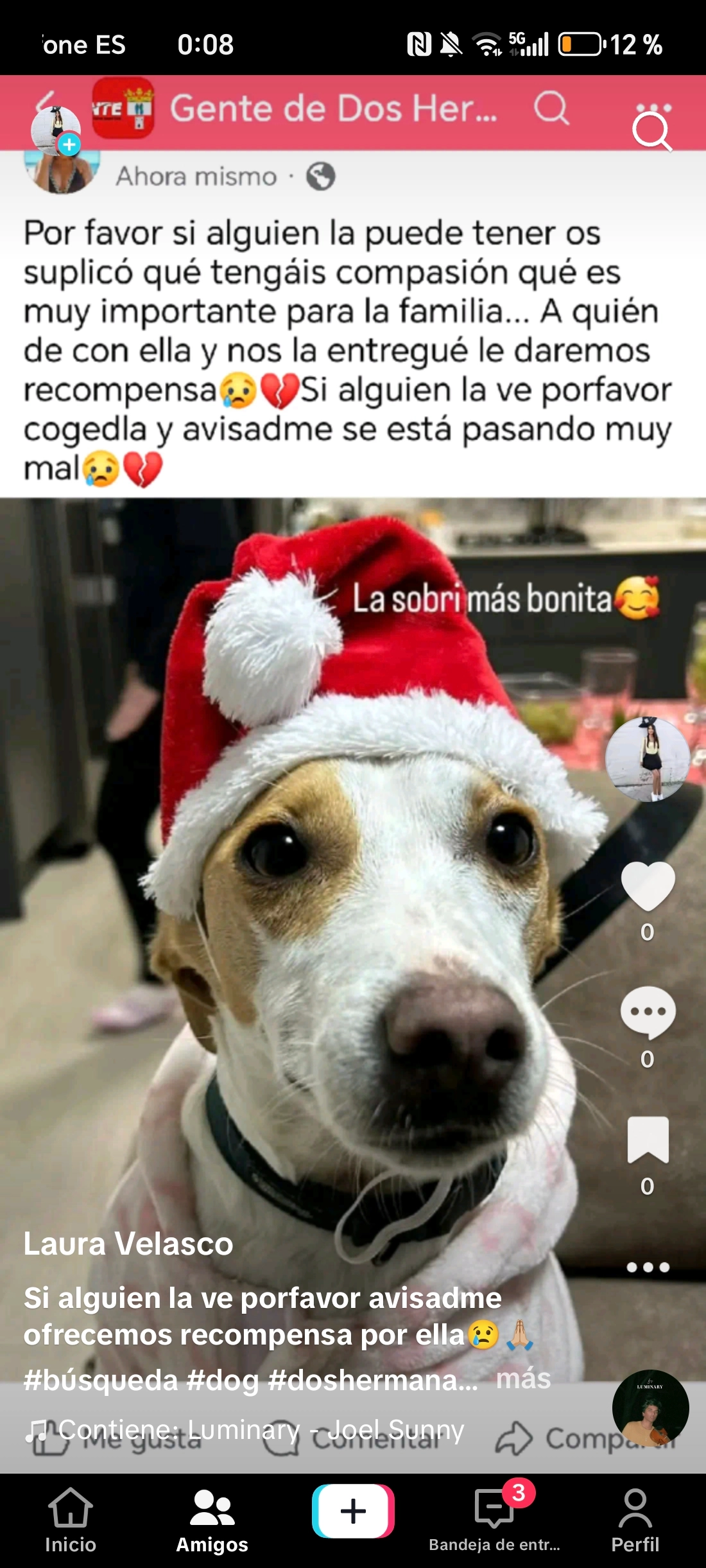 Nala  - Calle Huerta del Pilar, Dos Hermanas