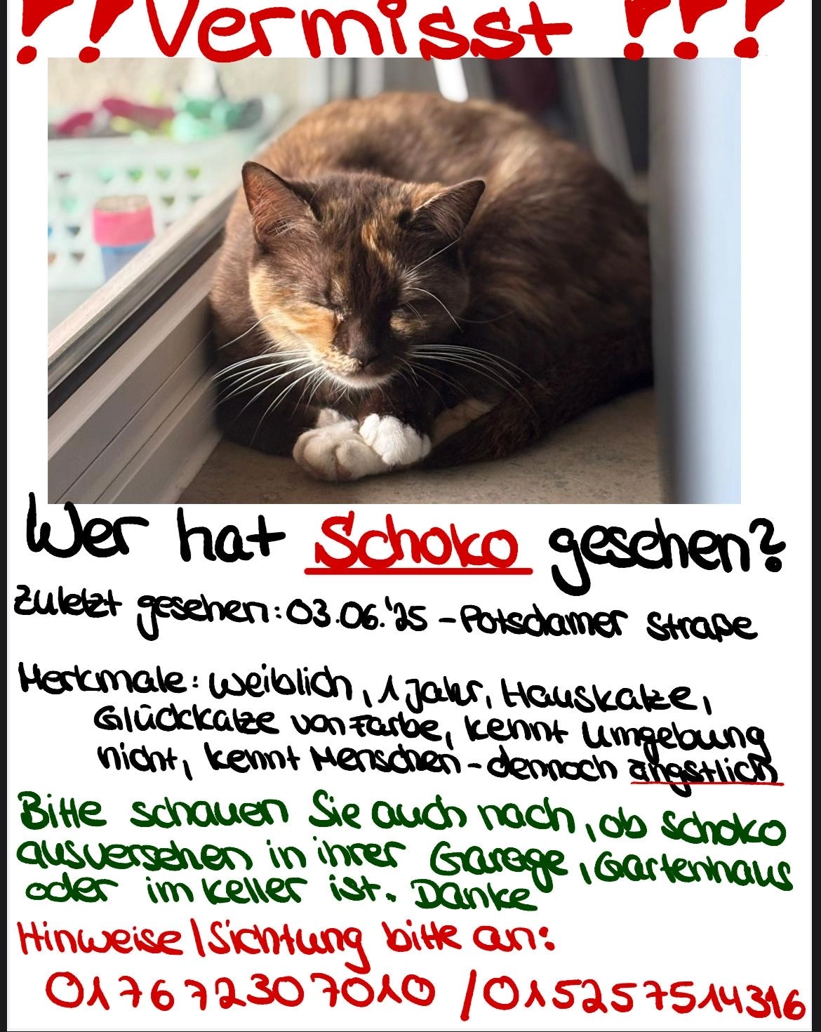 Schoko - Potsdamer Straße, Osnabrück