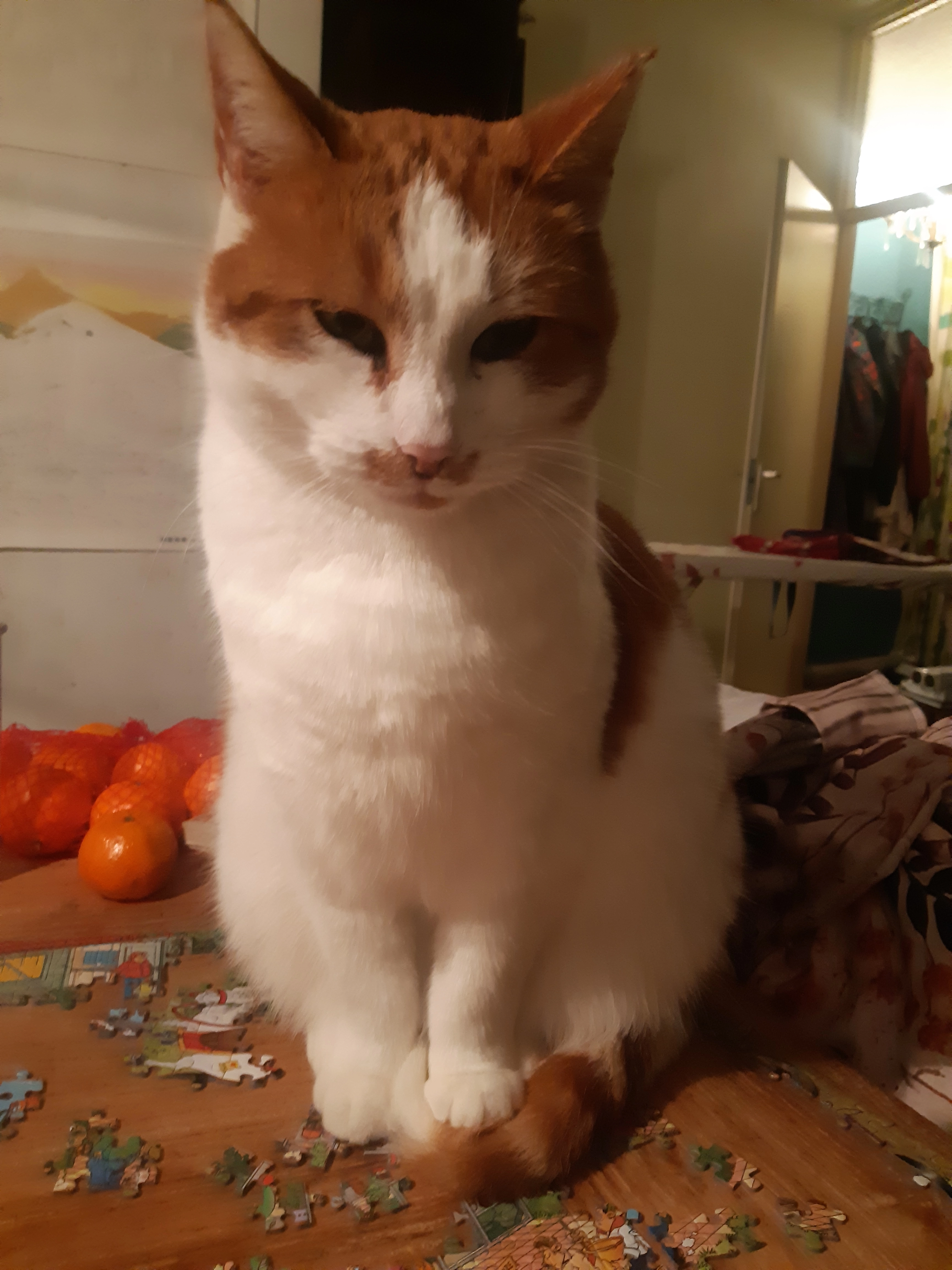 Kees - Maerten Gerritszstraat, Leeuwarden