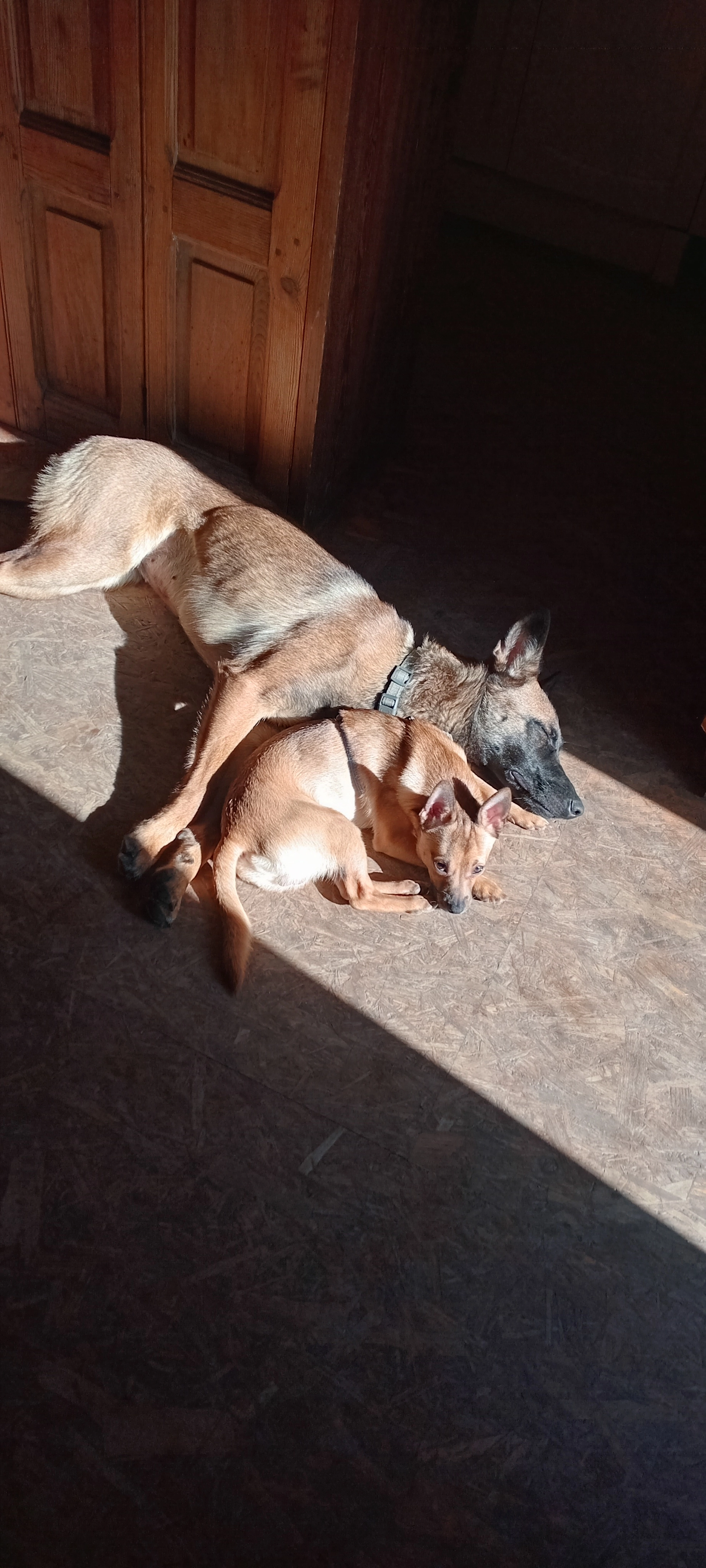 Luz - Route De Thuir, Millas