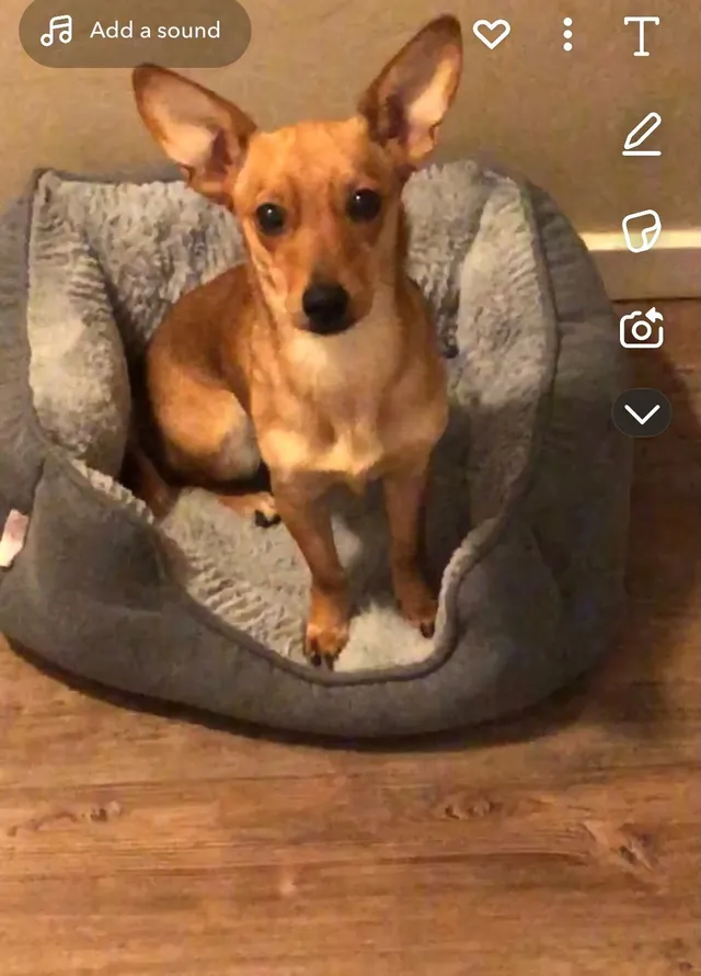 Canela - By 5418 S Park Ave, Tucson