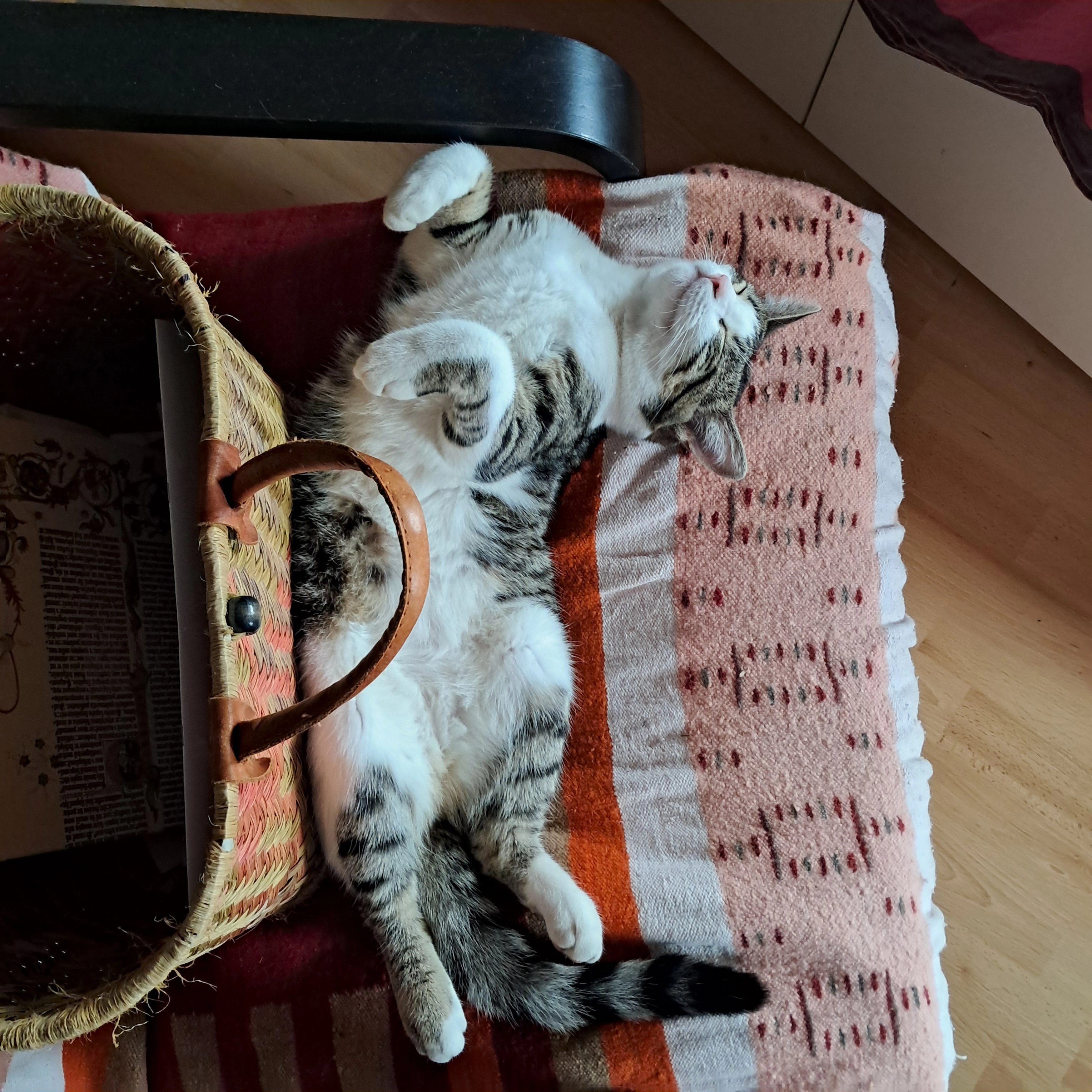 HÉMIOLE - Rue Des Paiens, Hœrdt