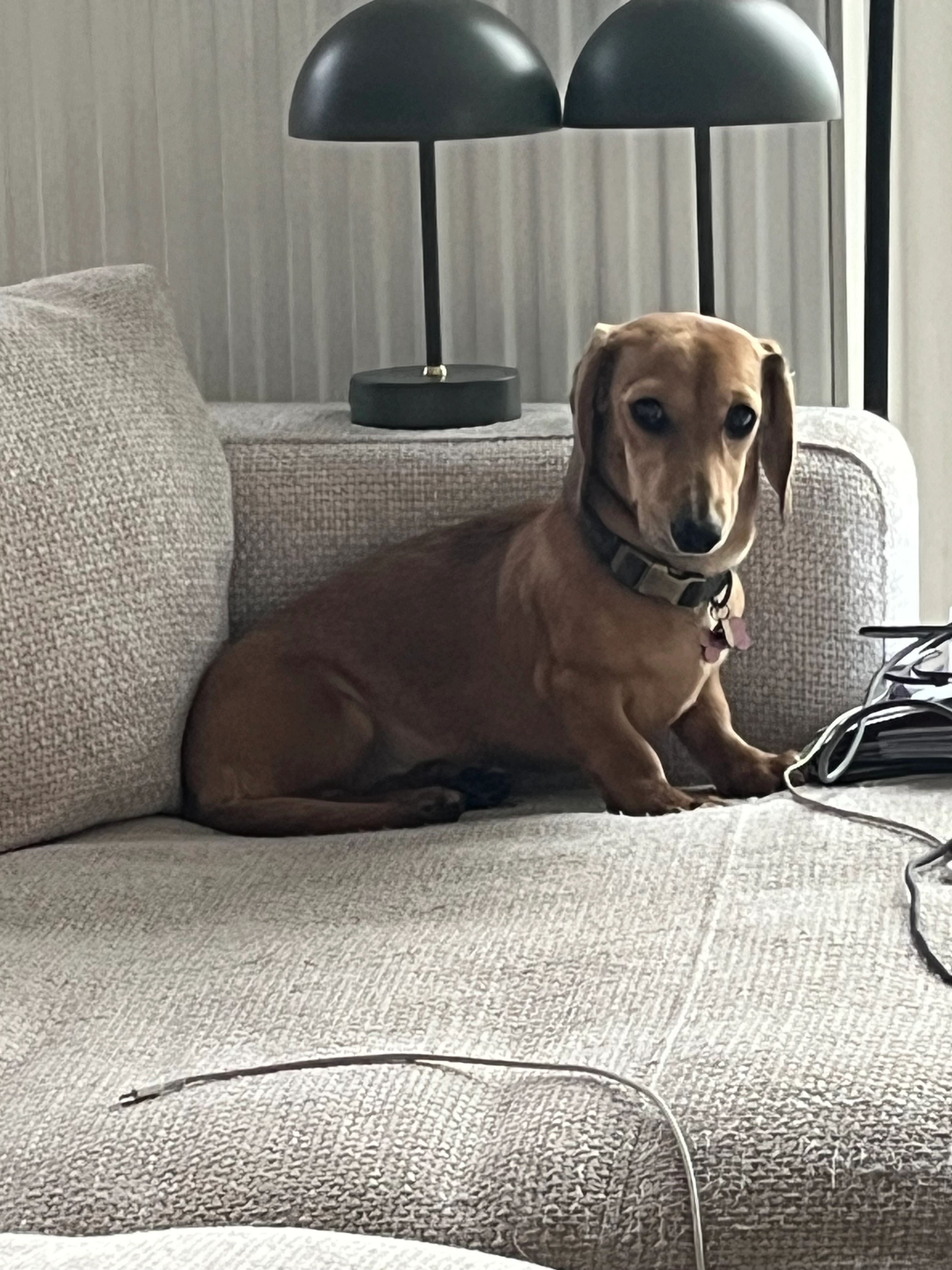 Nilah - Smisstraat 85, Lanaken