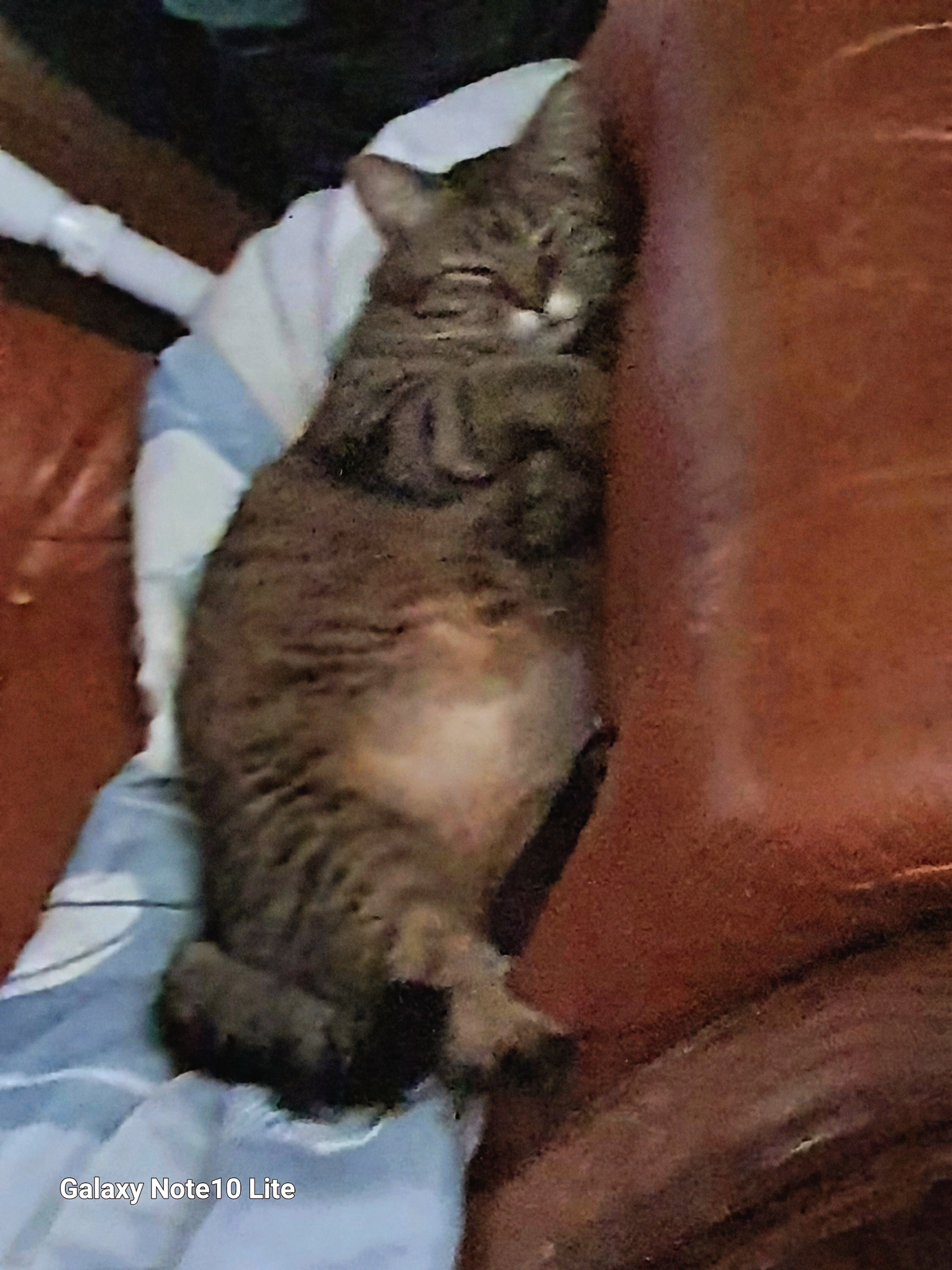 Marie  - Rue Claude Debussy, Villeneuve-Tolosane