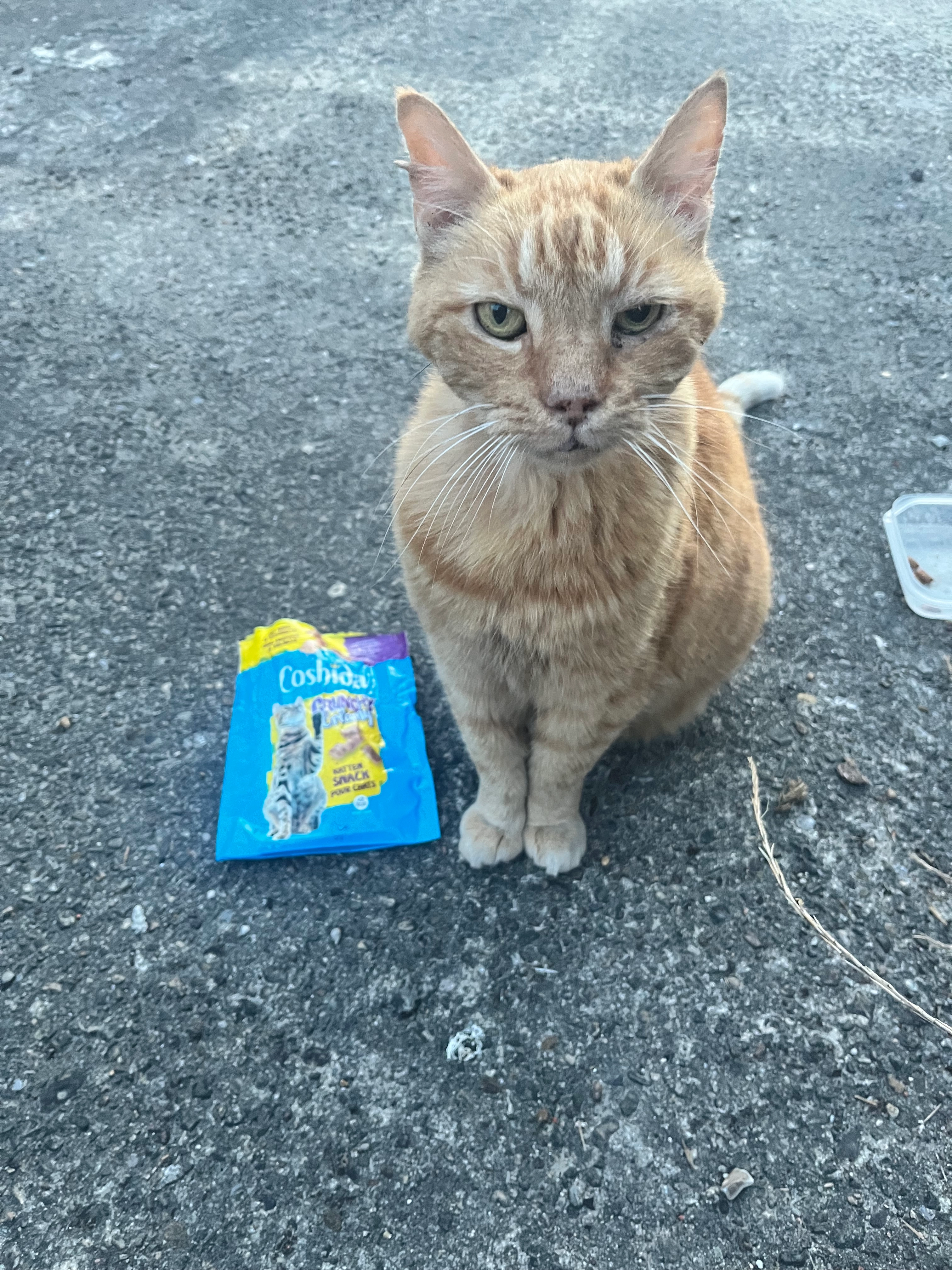 Weet niet ,  - Gebroeders Van De Woestyneplein, Eeklo