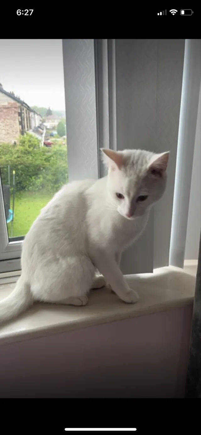 Noodles - Acres Hall Crescent, Pudsey