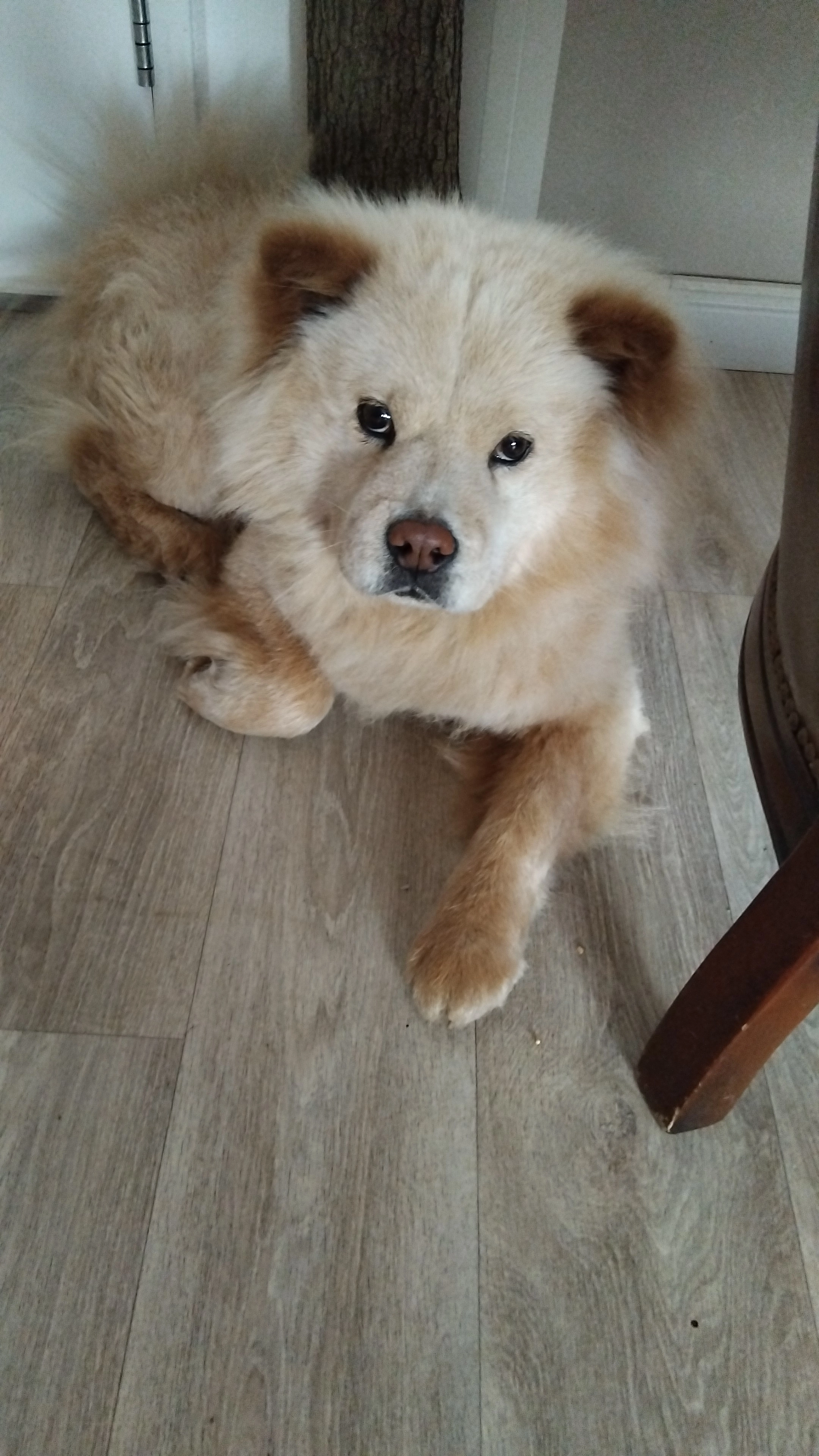 Mascha - Emmericher Straรe, Kleve