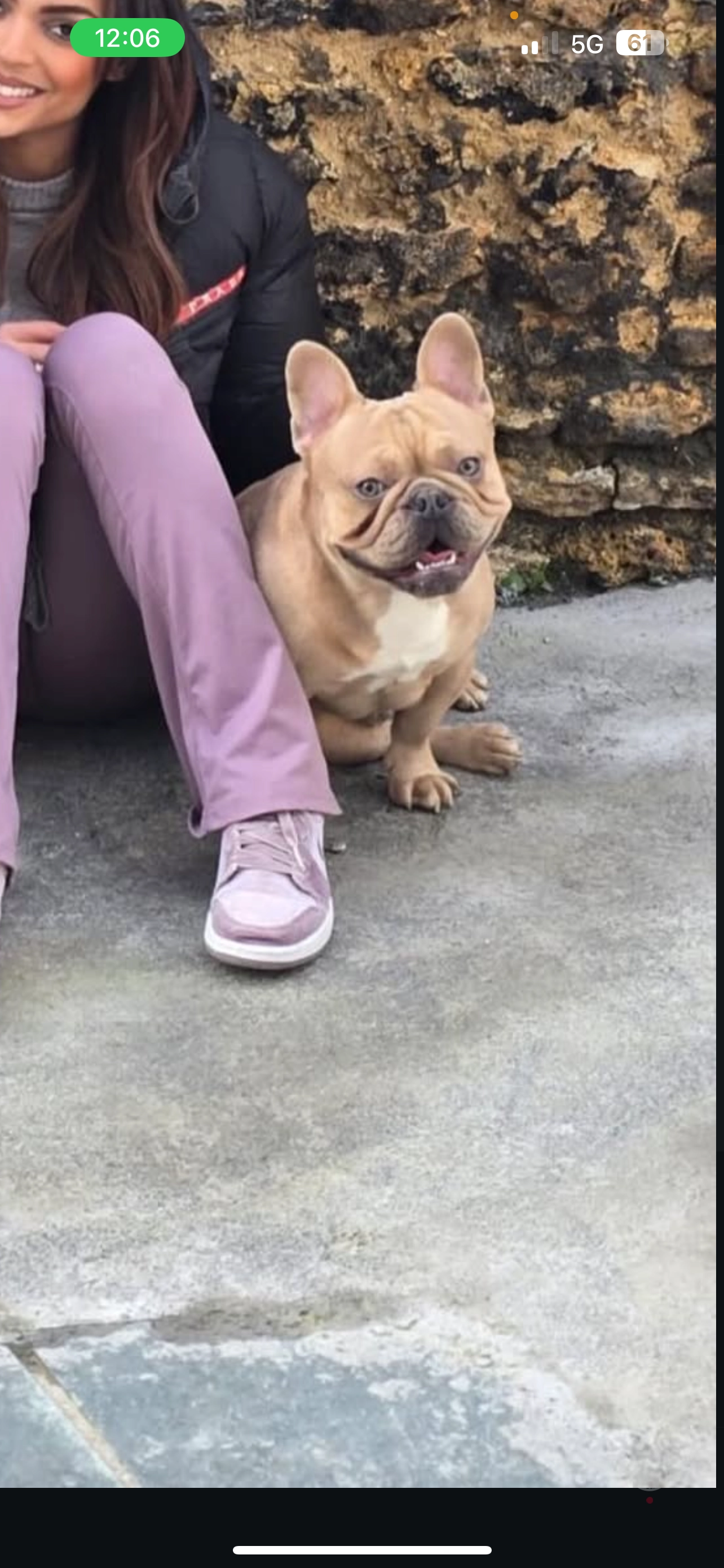 Pumba  - Rue Perreau, Nemours