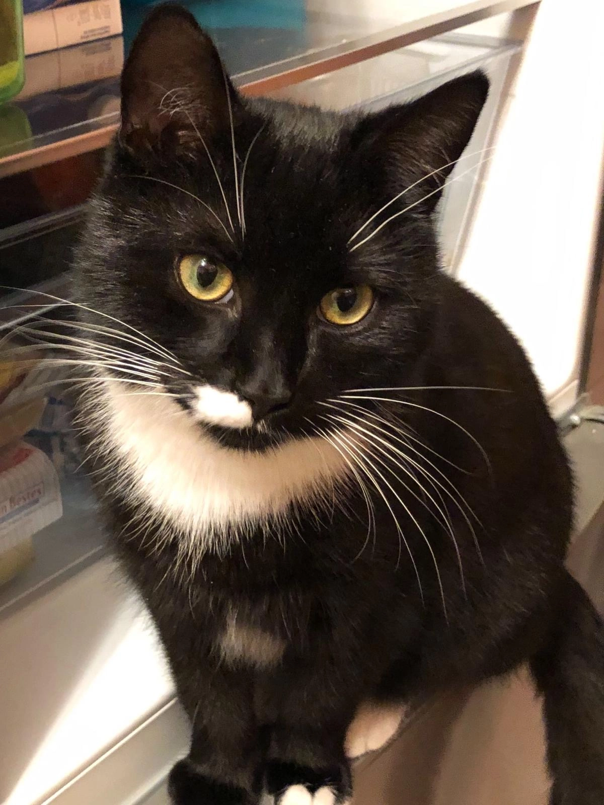 Itzi - Kirchstraรe, Trollenhagen