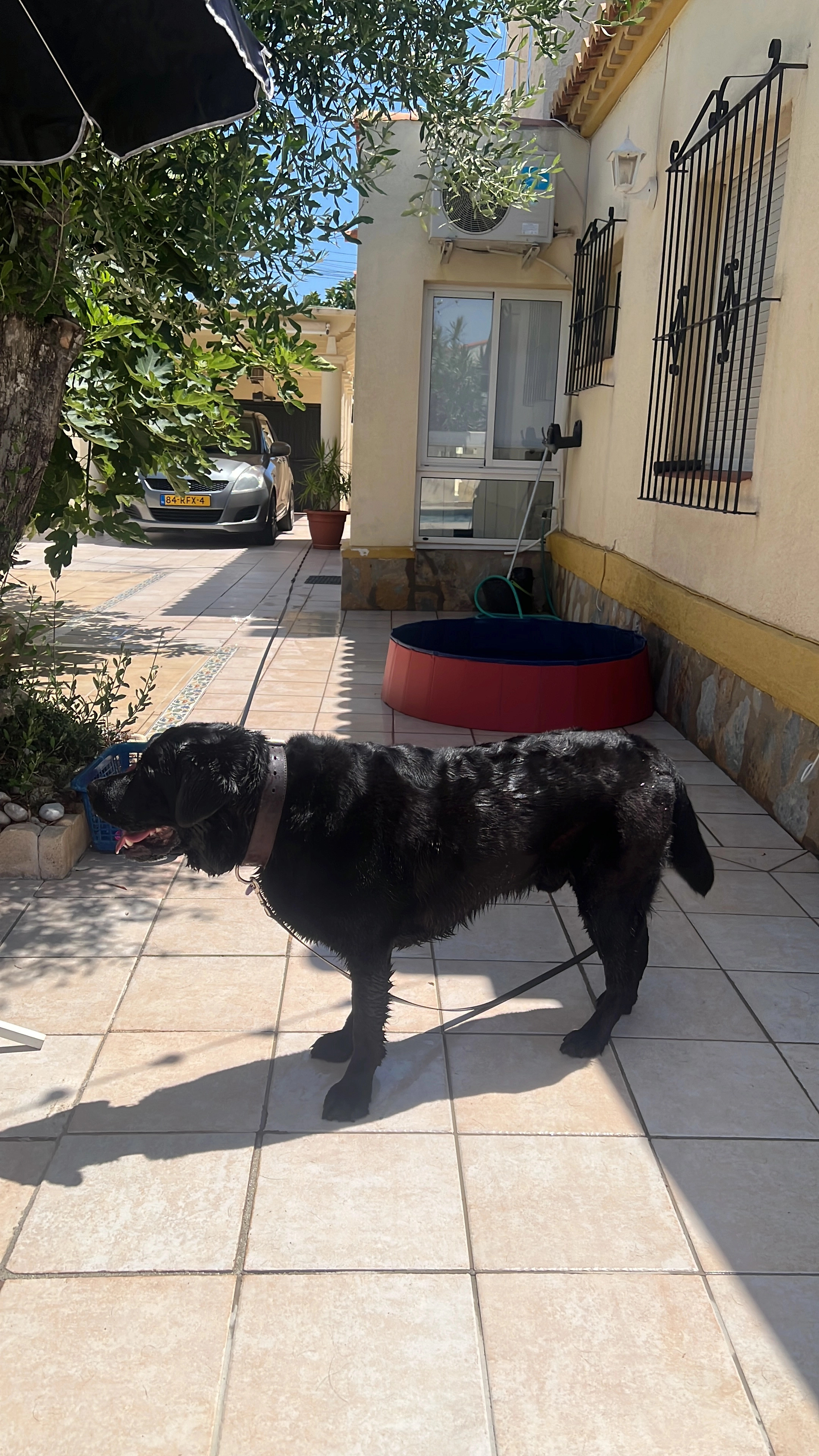 Buck - Calle Rosalía De Castro, Torrevieja