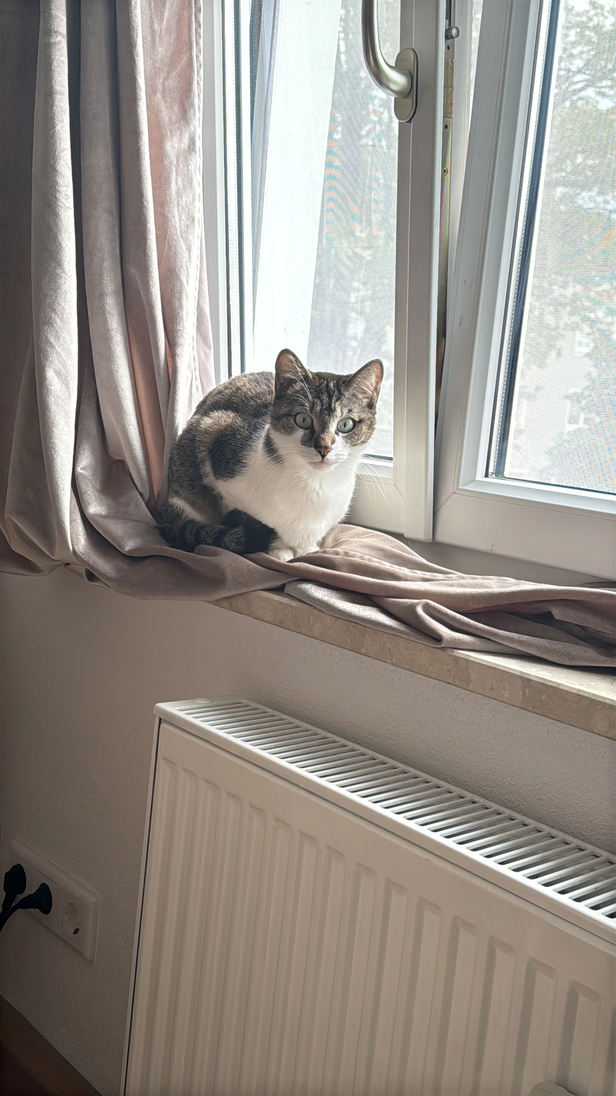 Momo - Lorenz-Brandl-Straße, Traunreut