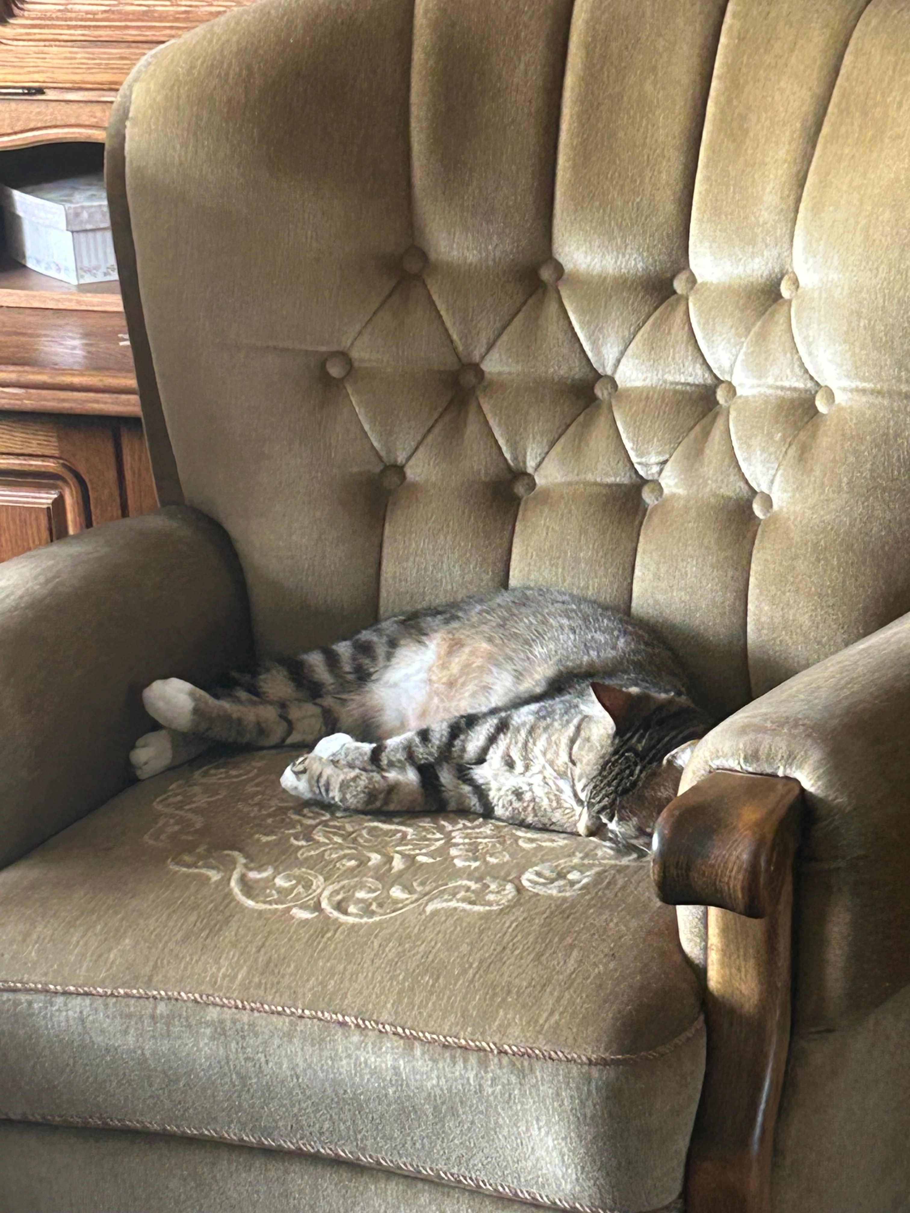 Lucy - 30179, Hannover