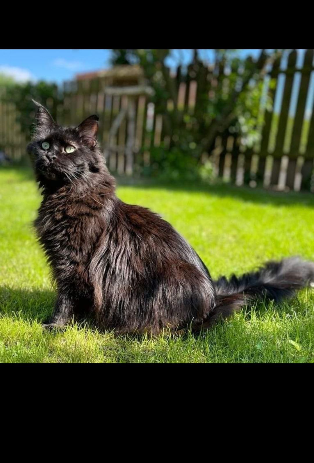 Nina - Kraunsdahl, Hambühren