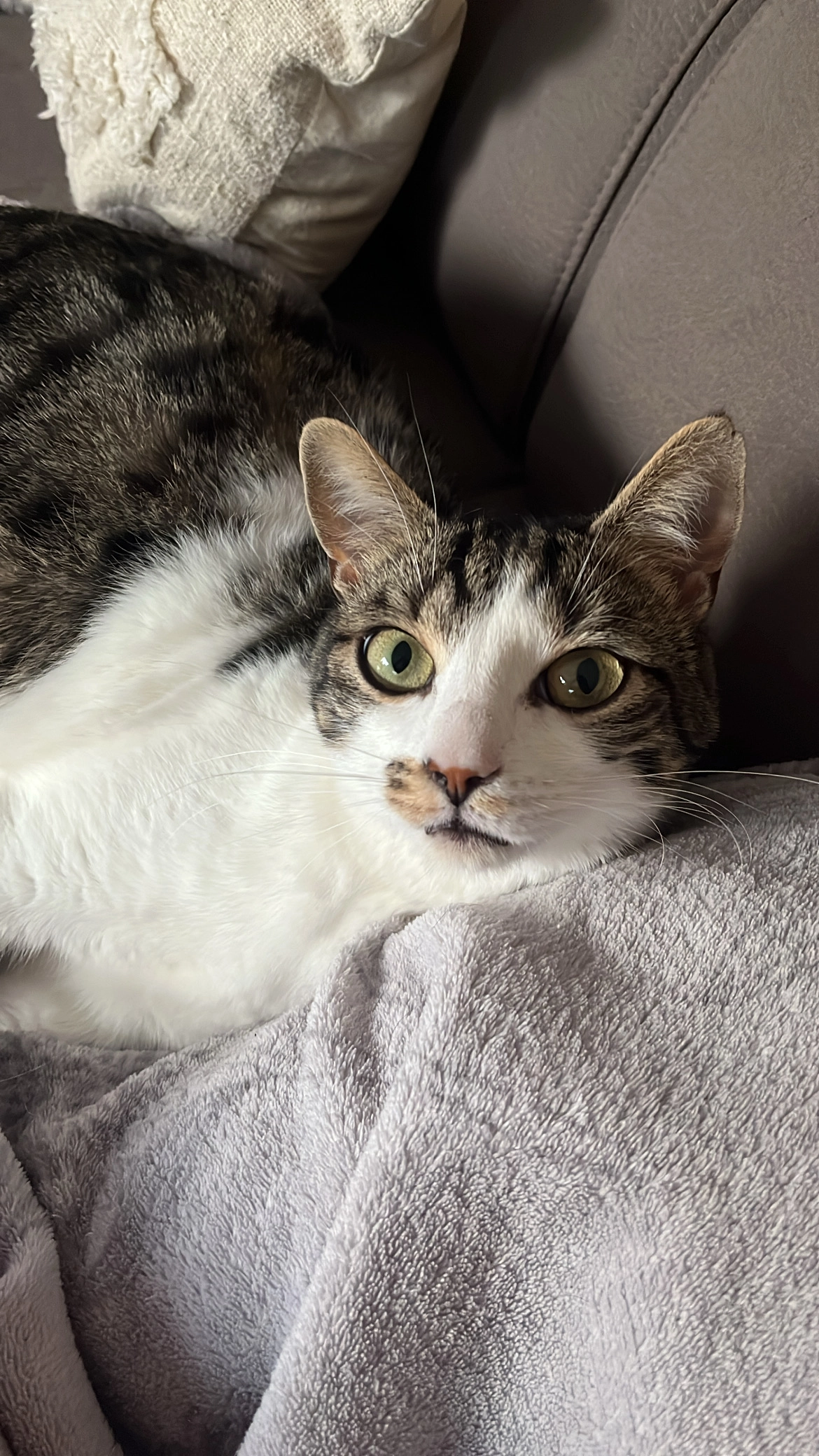 Saiko - Rue de la Carnassière 7, Marche-en-Famenne