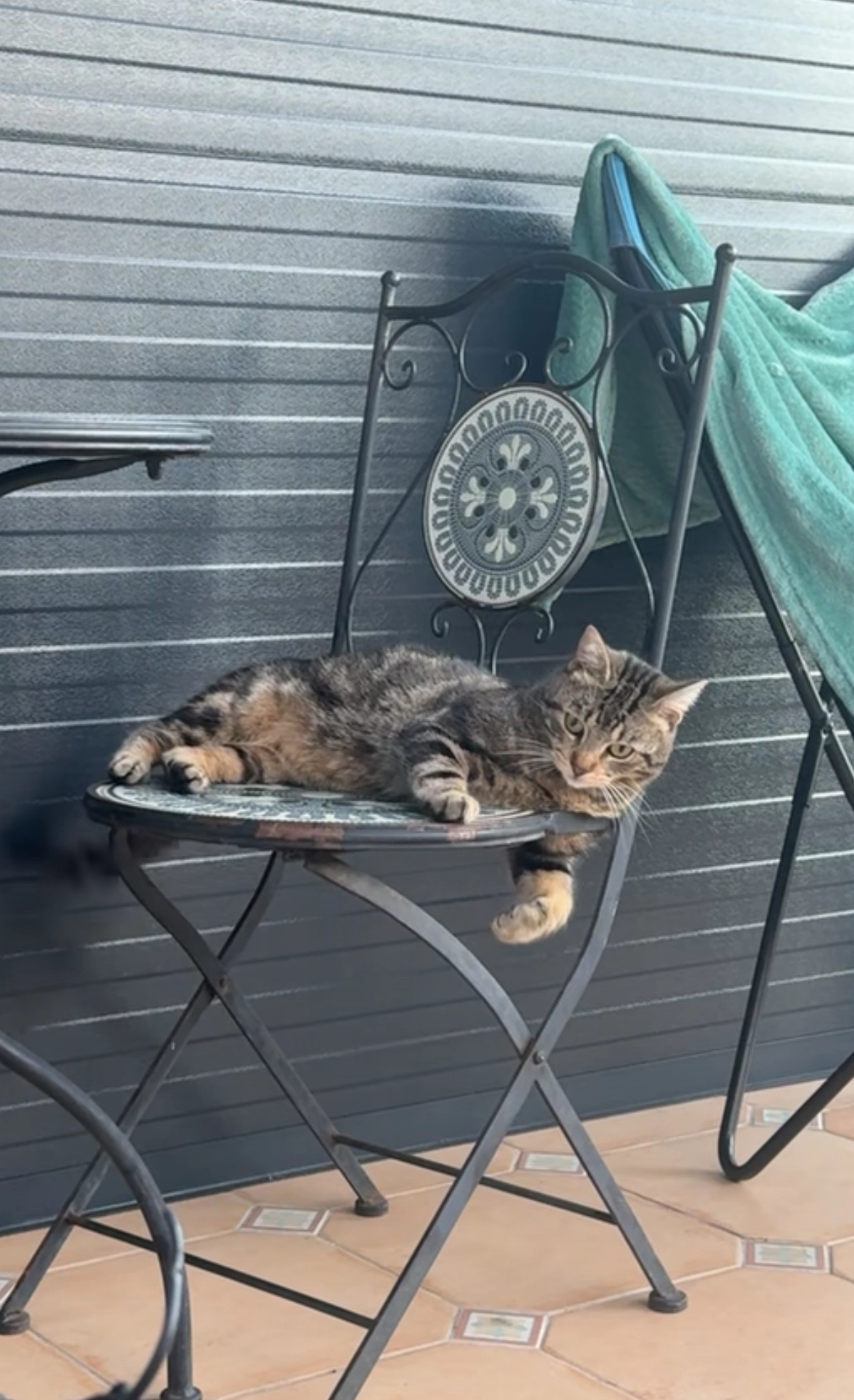 Simba - Tout près de la maison , Fosses-la-Ville